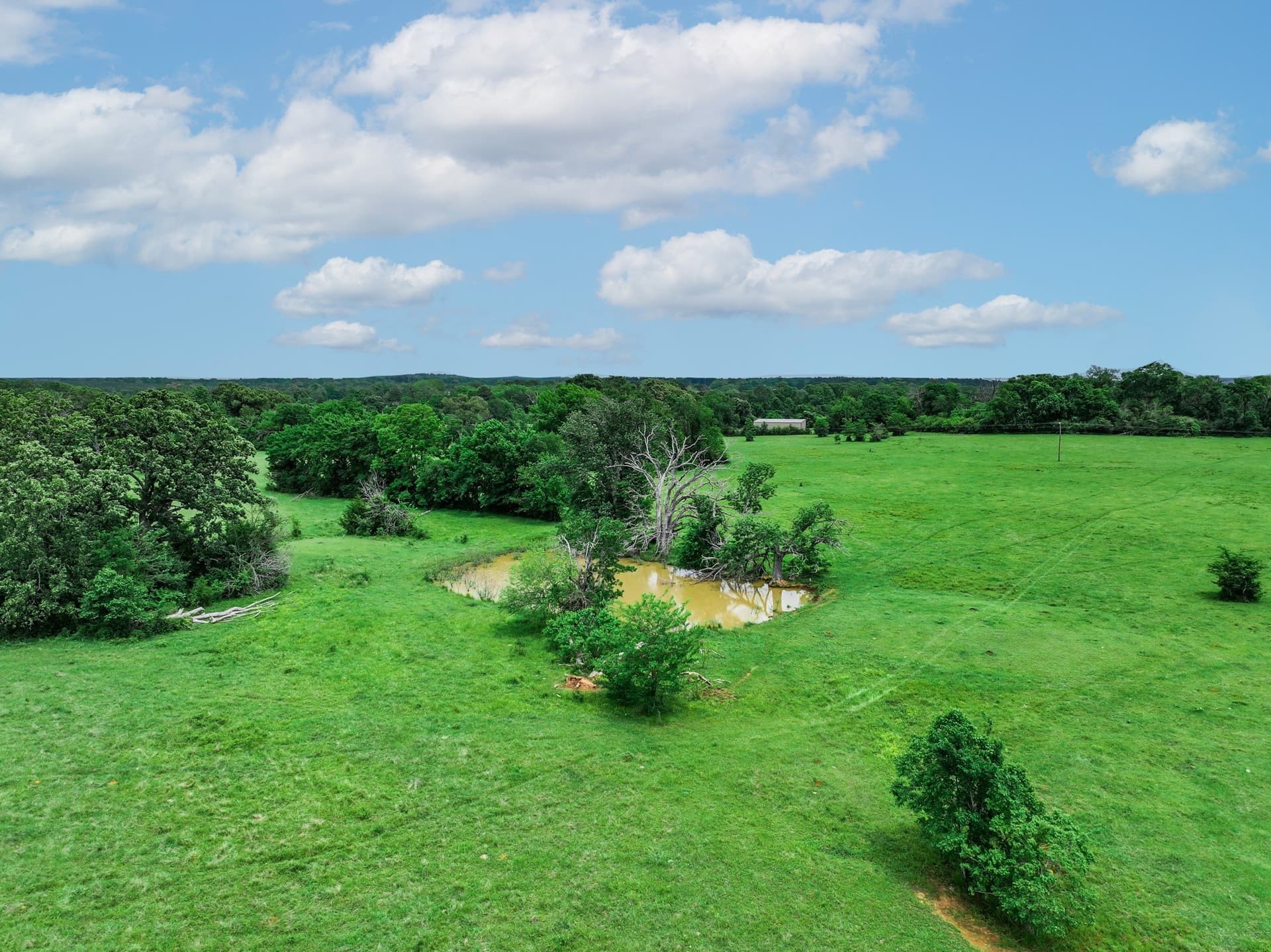 163 acres in Anderson County - photo 33