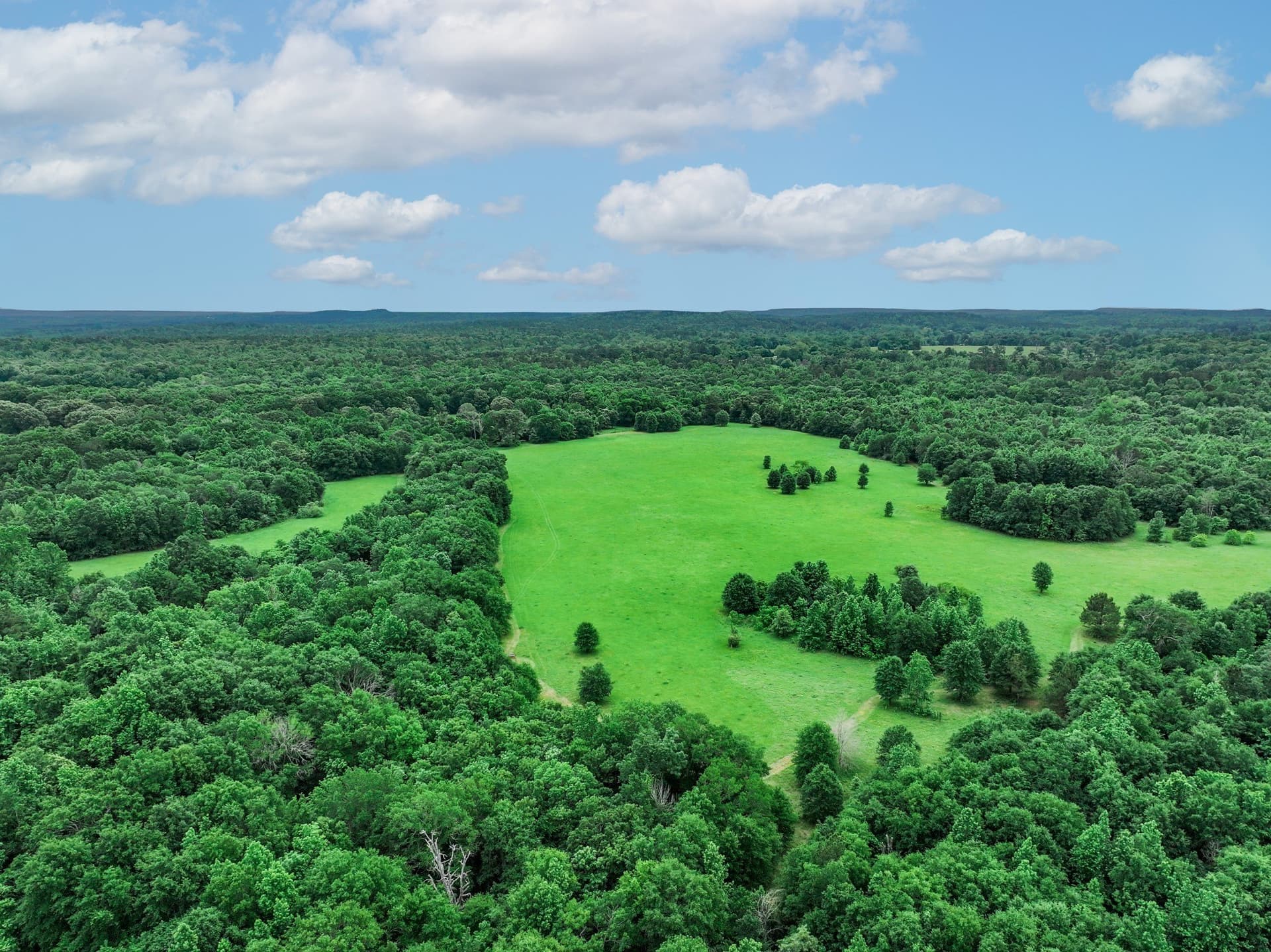163 acres in Anderson County - photo 17