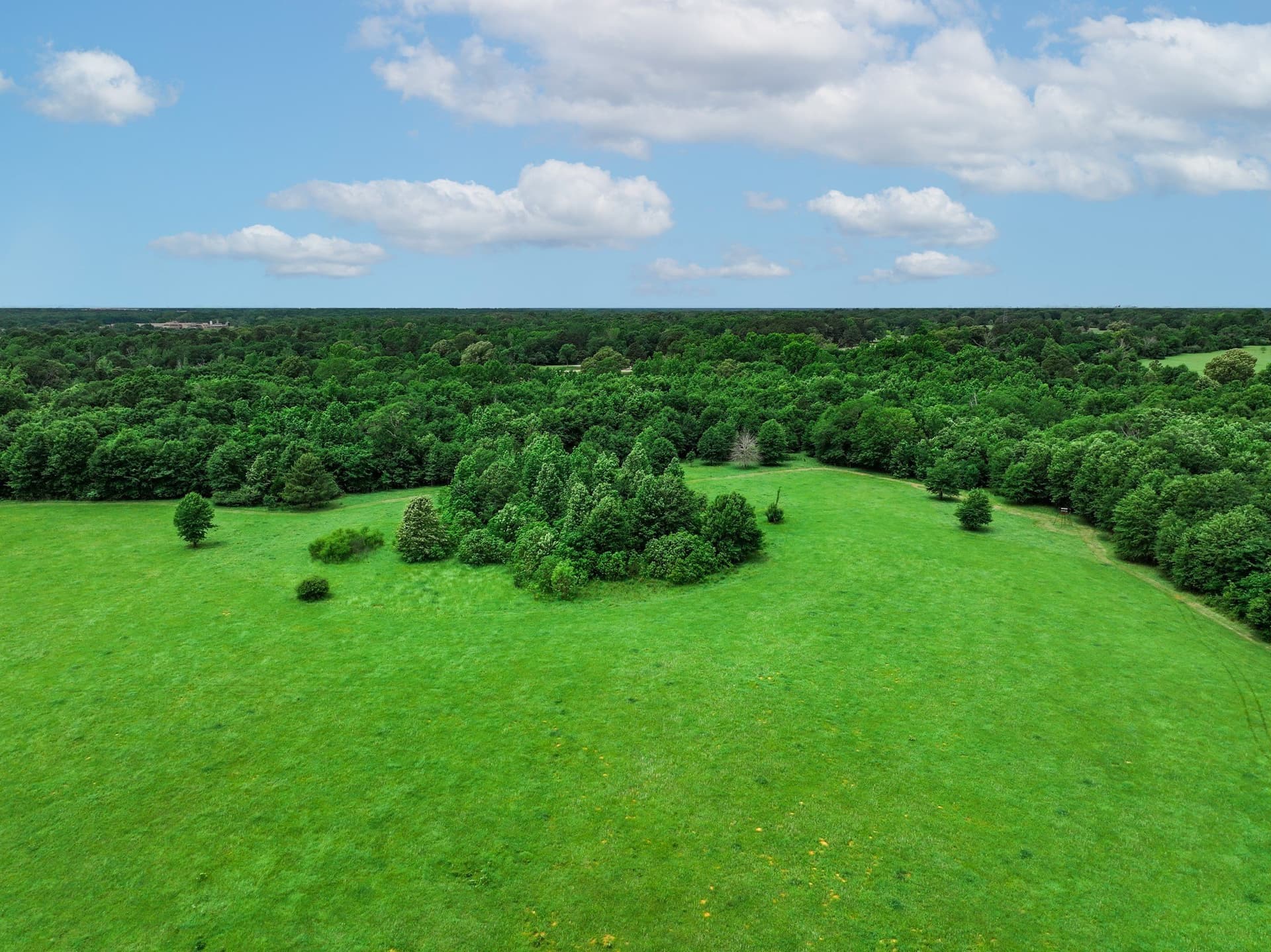 163 acres in Anderson County - photo 14