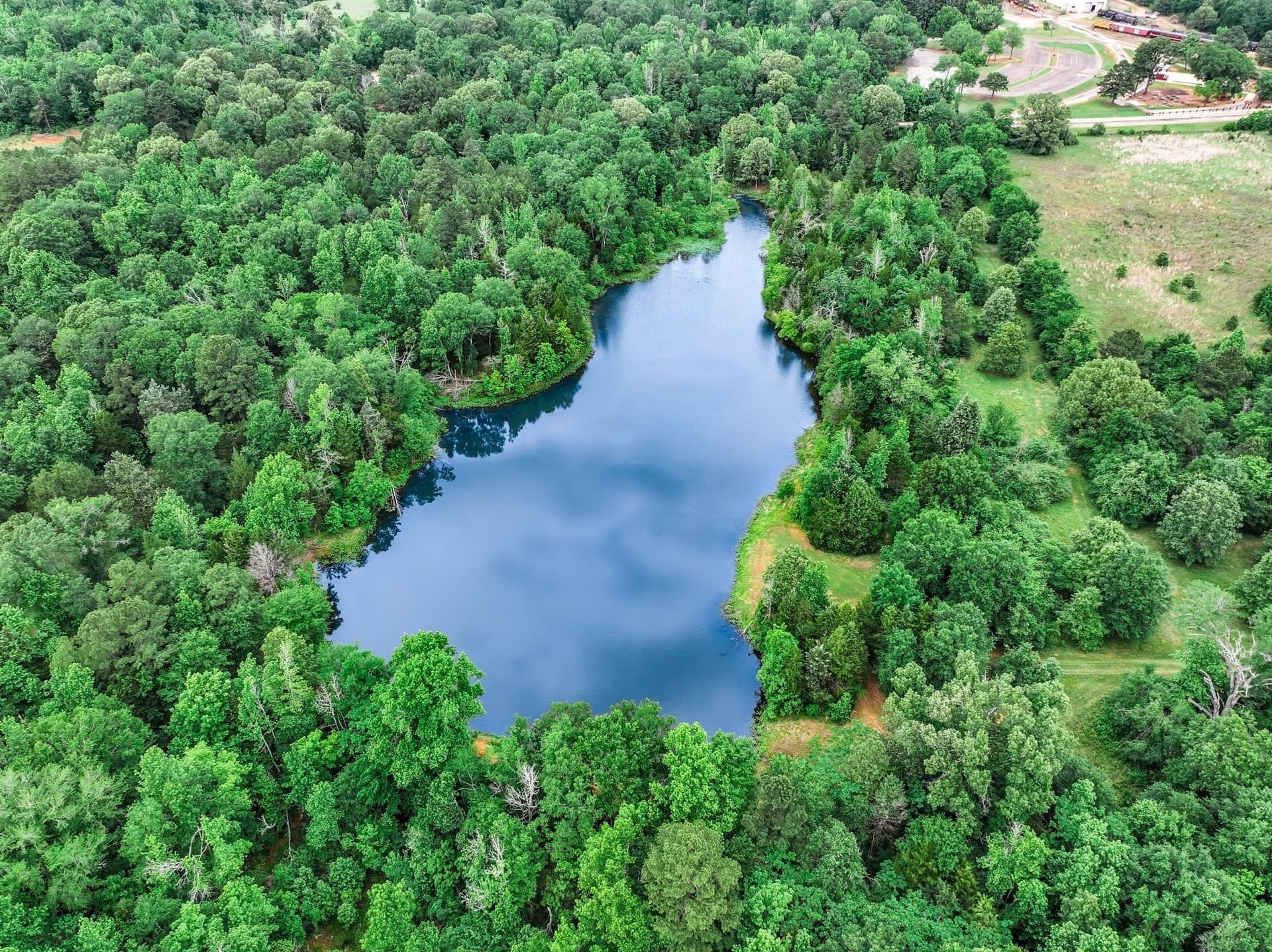 163 acres in Anderson County - photo 4