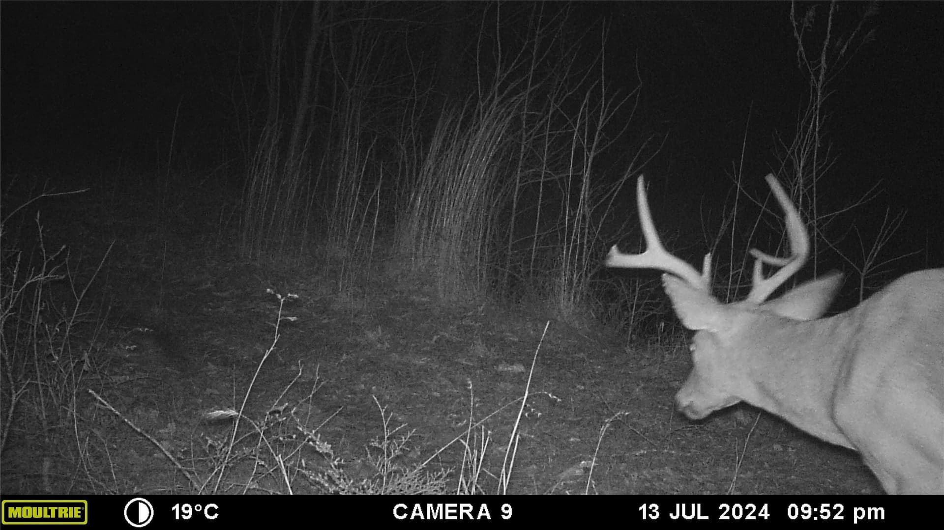 163 acres in Anderson County - photo 40