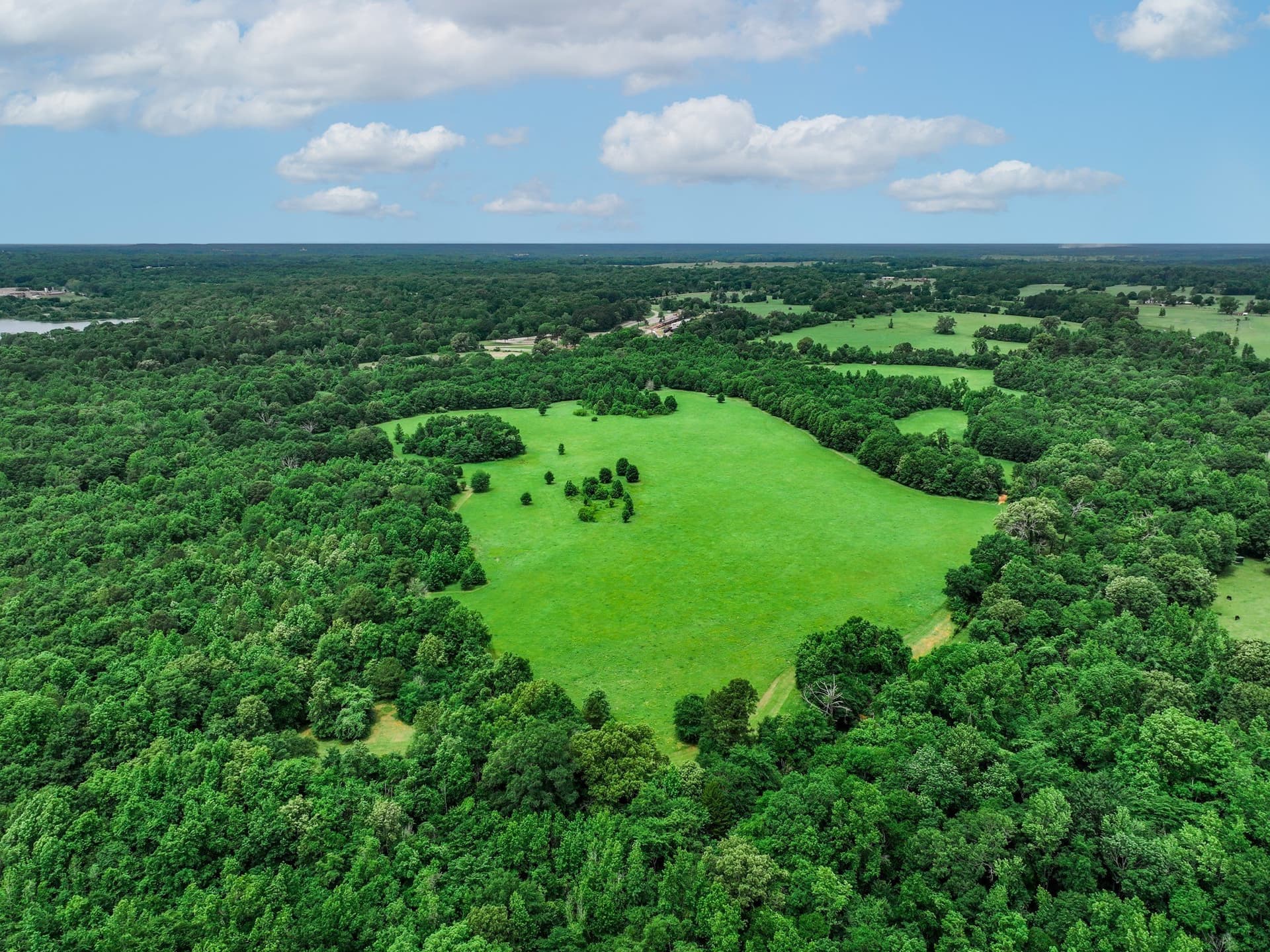 163 acres in Anderson County - photo 13
