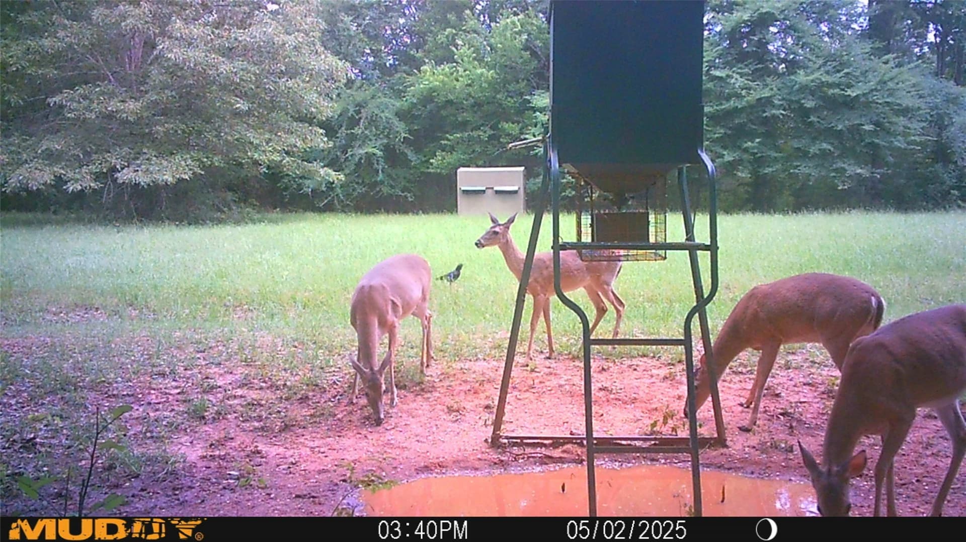 163 acres in Anderson County - photo 38