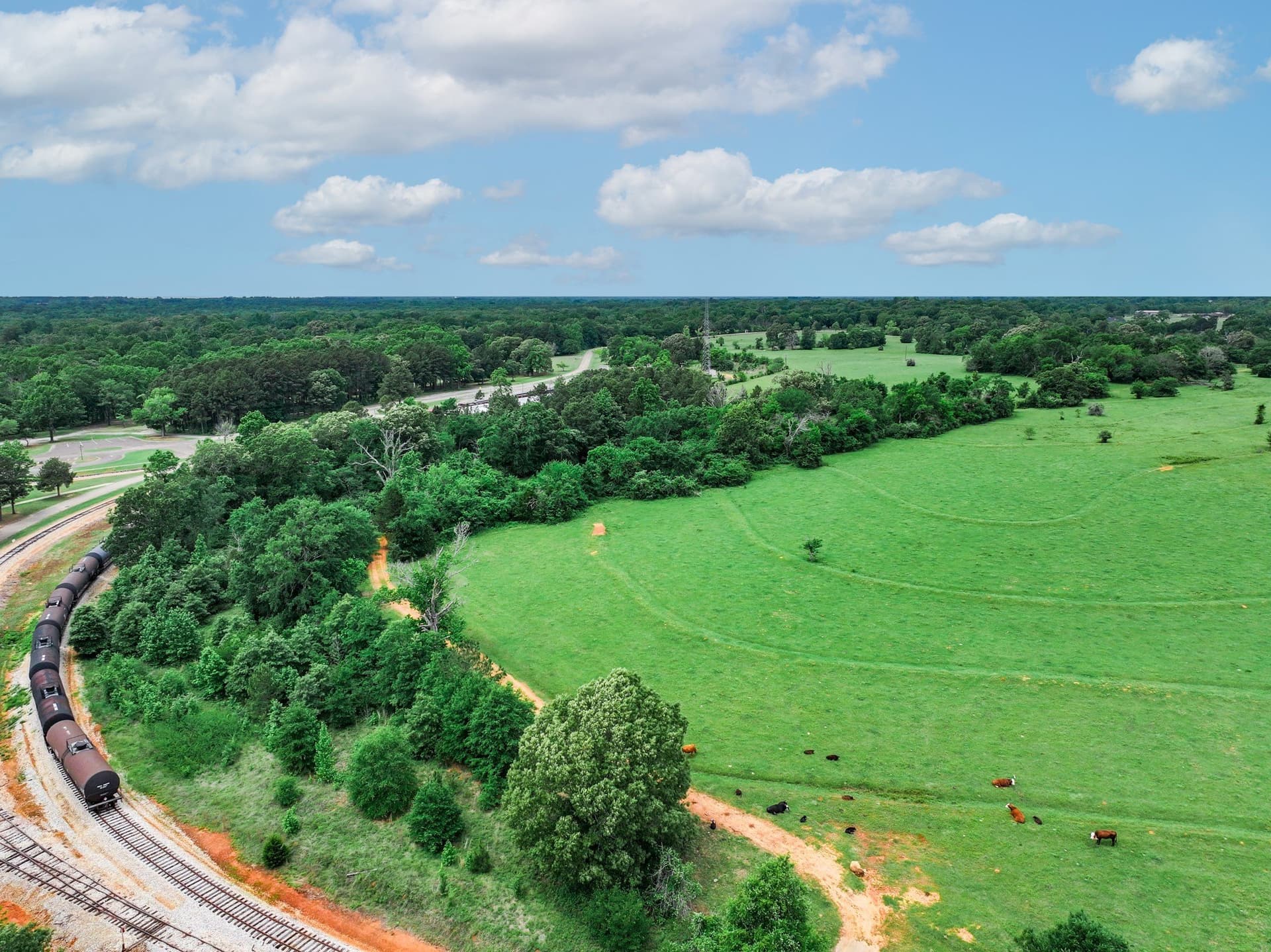 163 acres in Anderson County - photo 23