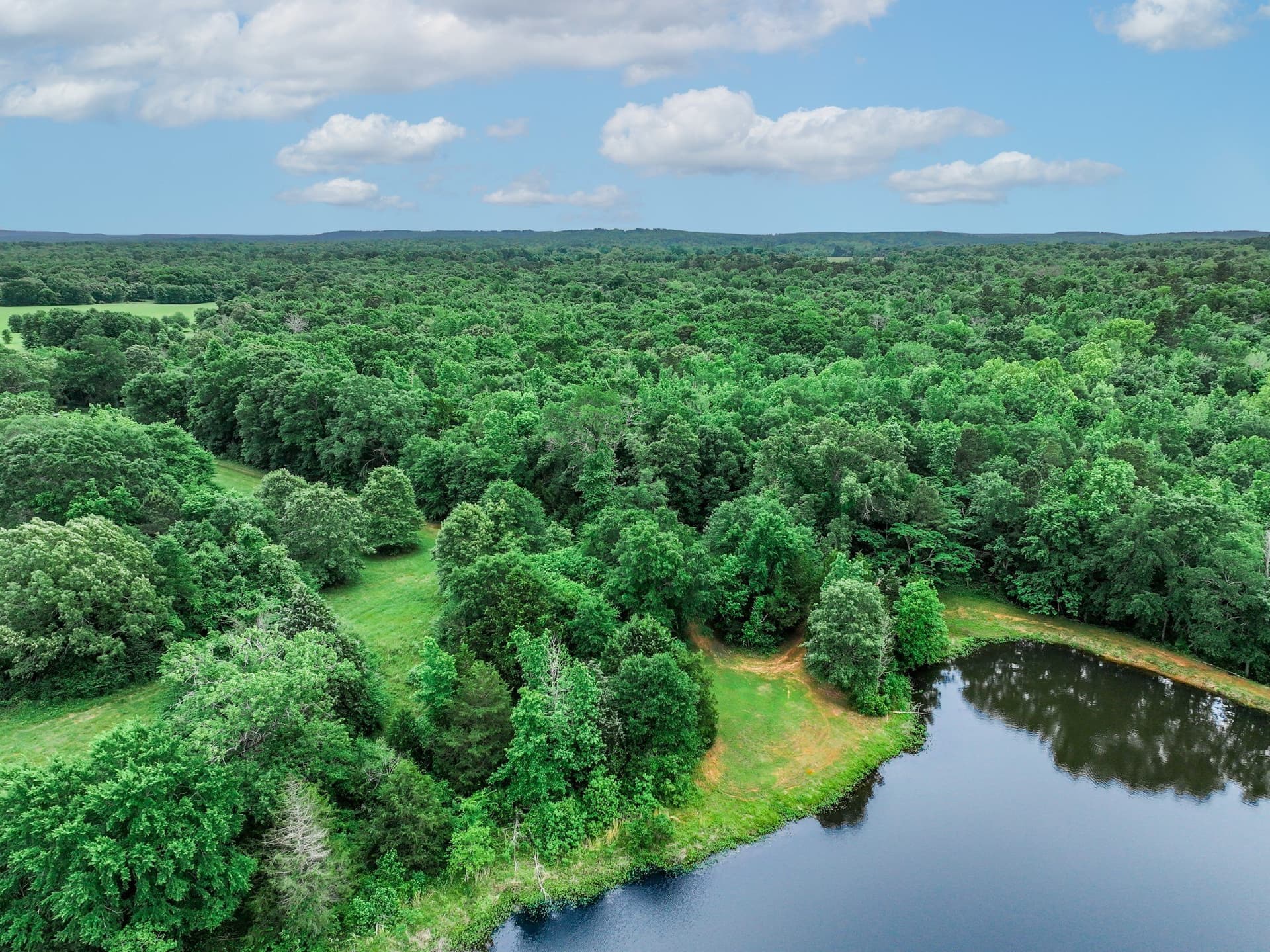 163 acres in Anderson County - photo 7