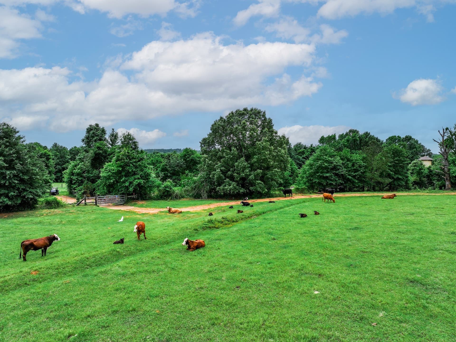 163 acres in Anderson County - photo 24