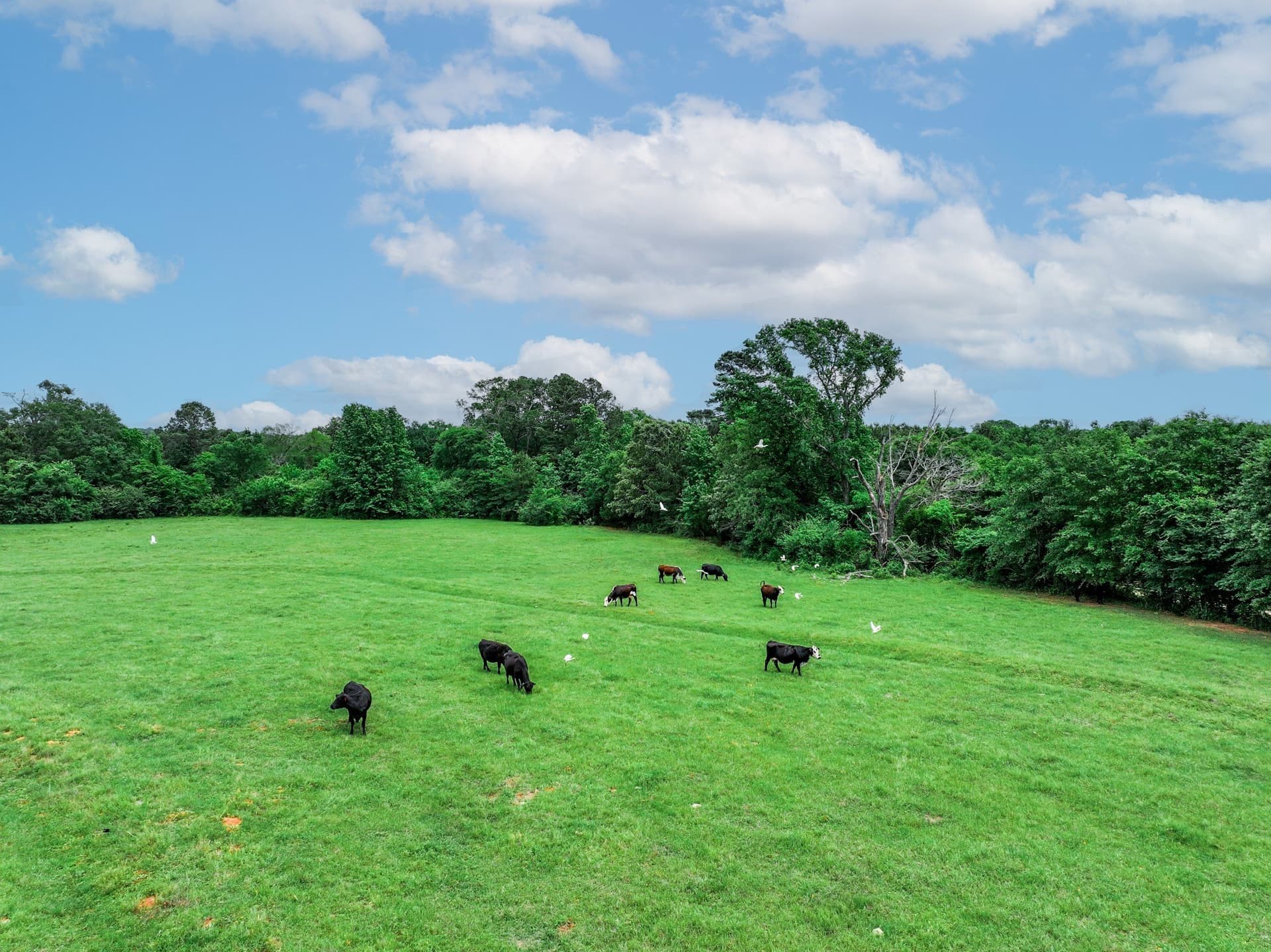 163 acres in Anderson County - photo 25