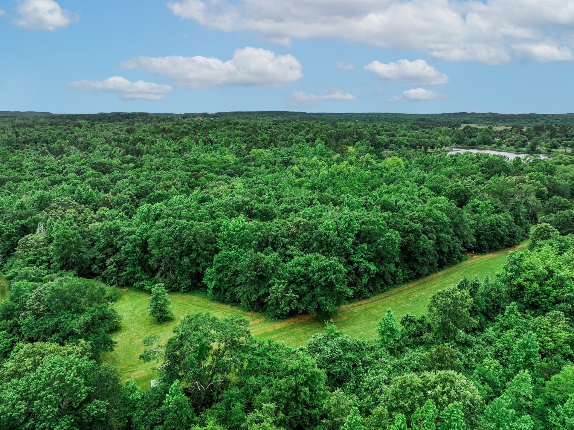 163 acres in Anderson County - photo 6