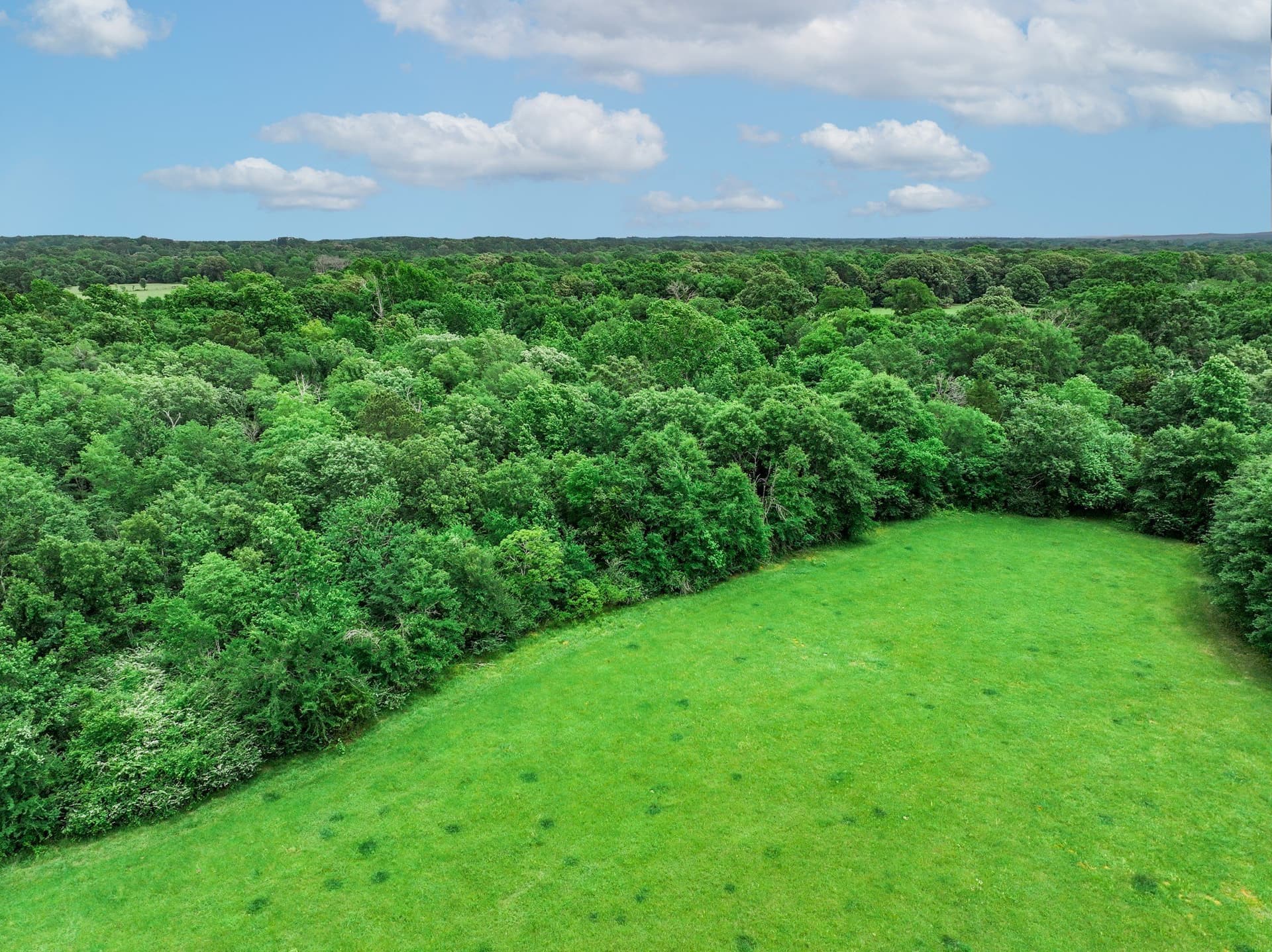 163 acres in Anderson County - photo 21