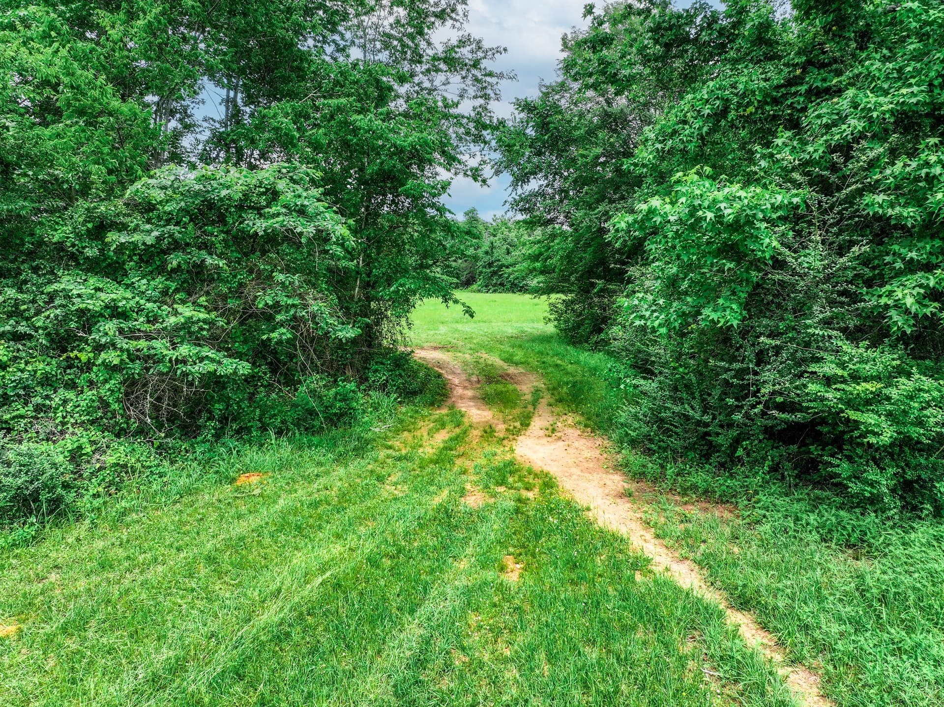 163 acres in Anderson County - photo 20