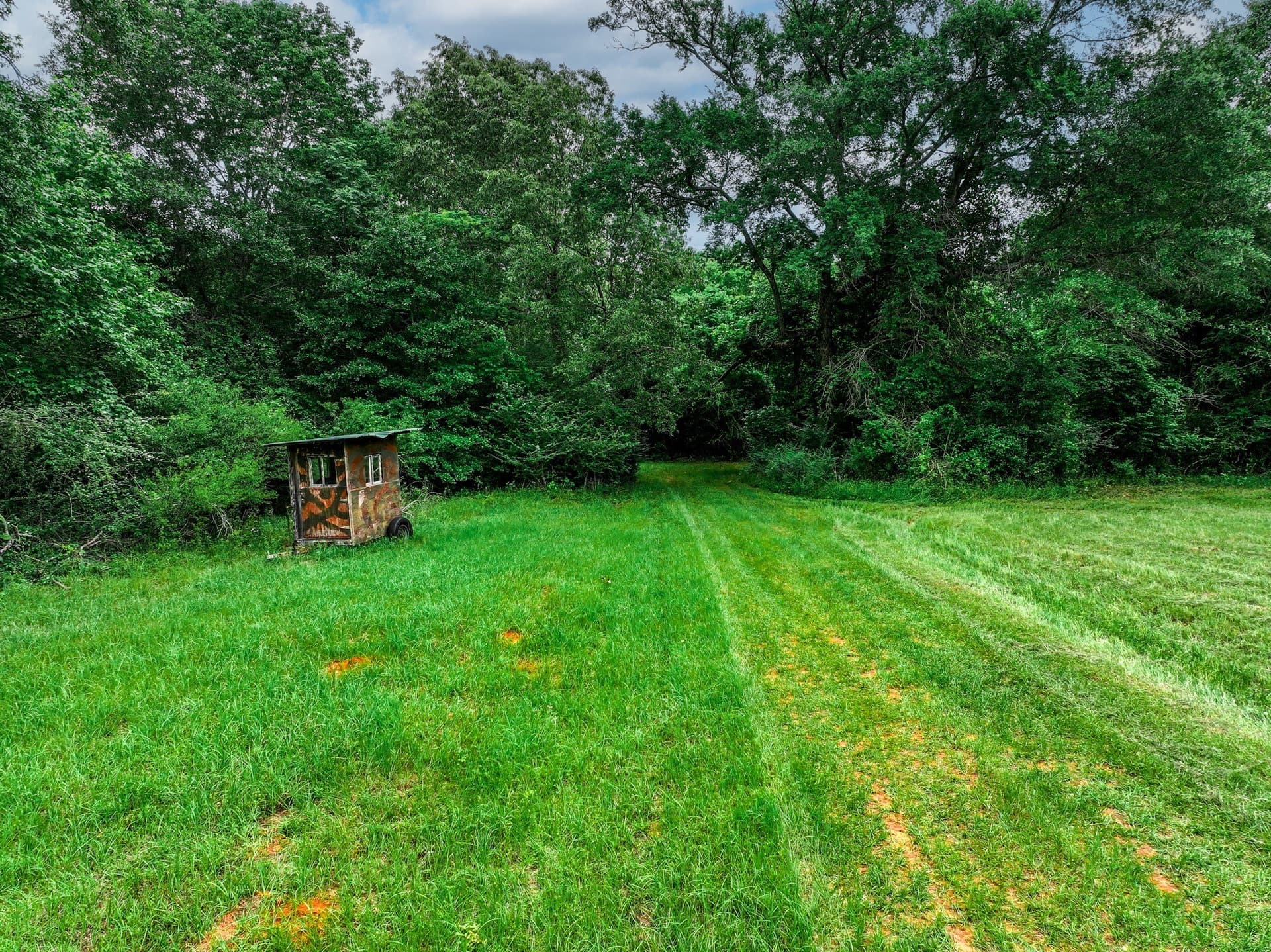 163 acres in Anderson County - photo 3