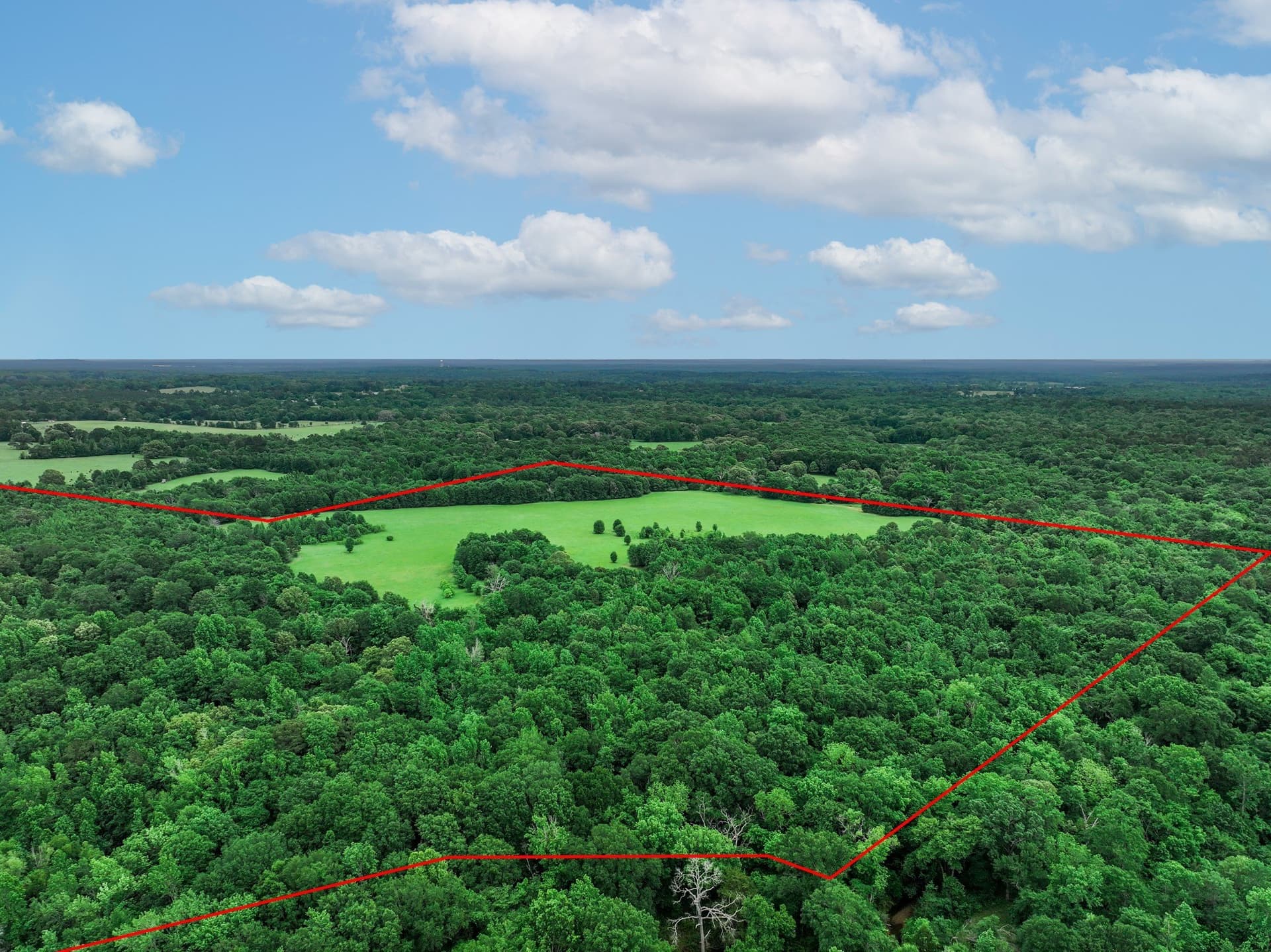 163 acres in Anderson County - photo 12