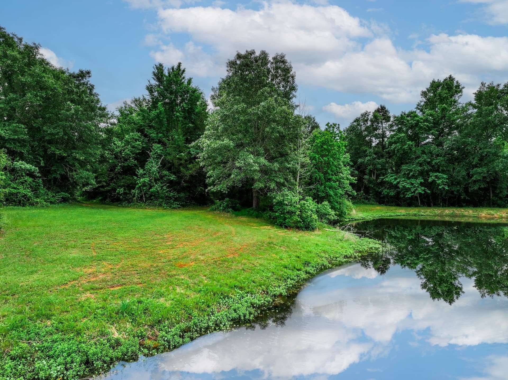 163 acres in Anderson County - photo 9