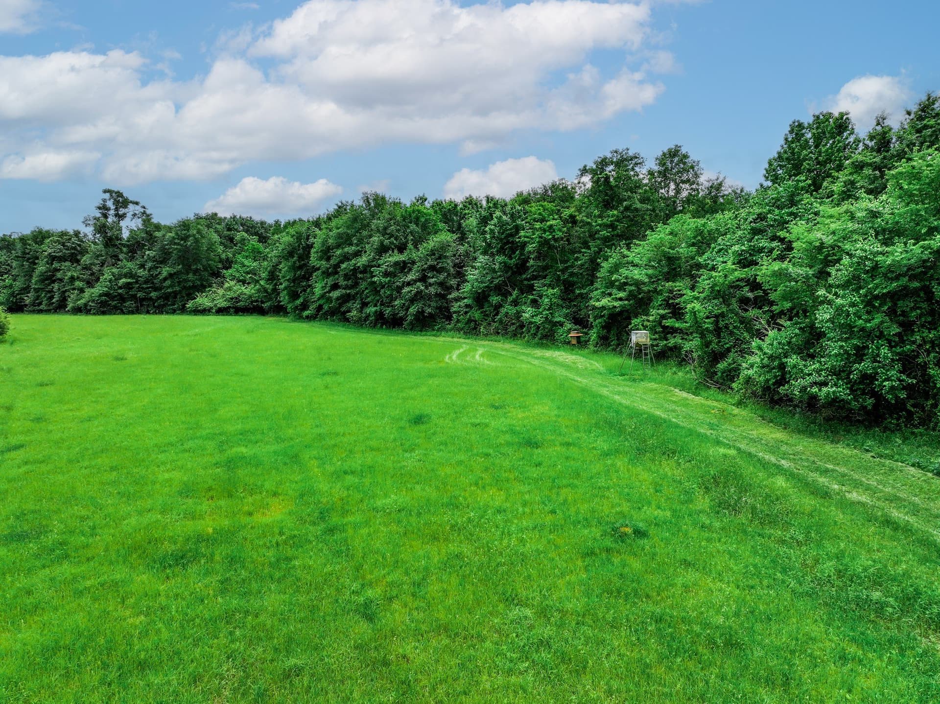 163 acres in Anderson County - photo 28