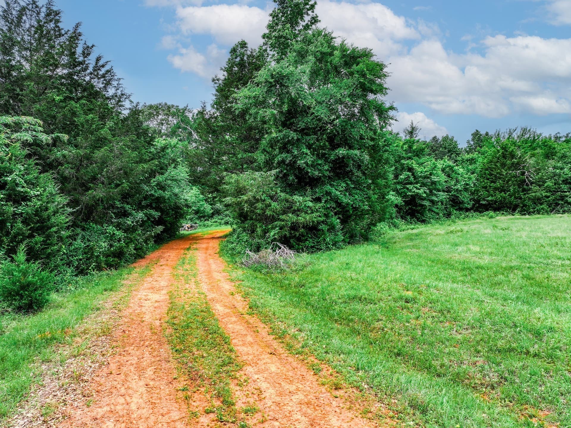 163 acres in Anderson County - photo 26