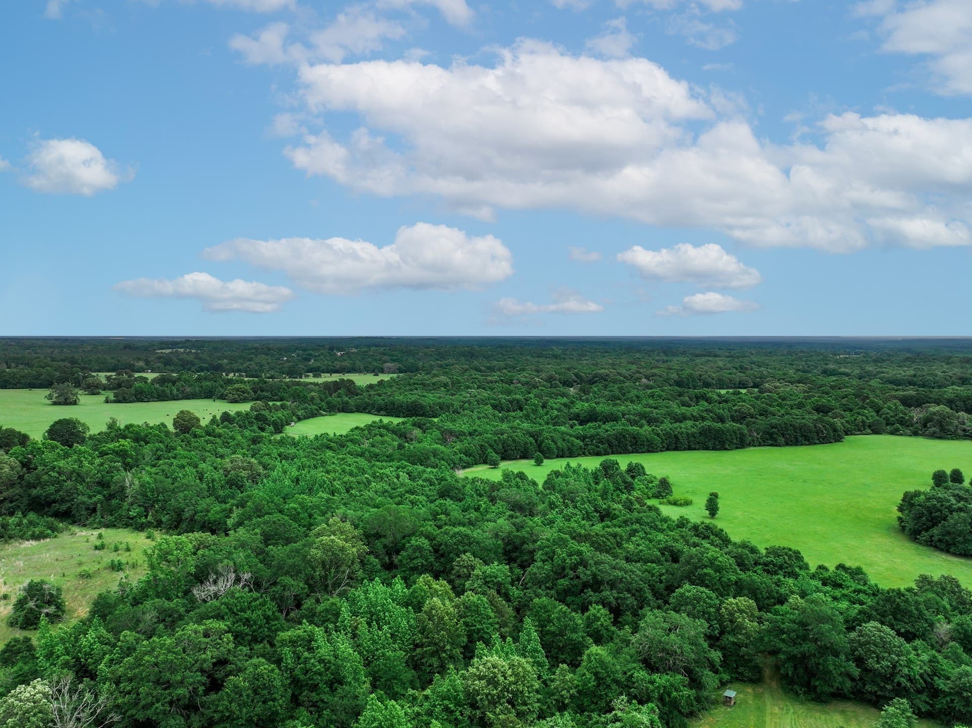 163 acres in Anderson County - photo 16