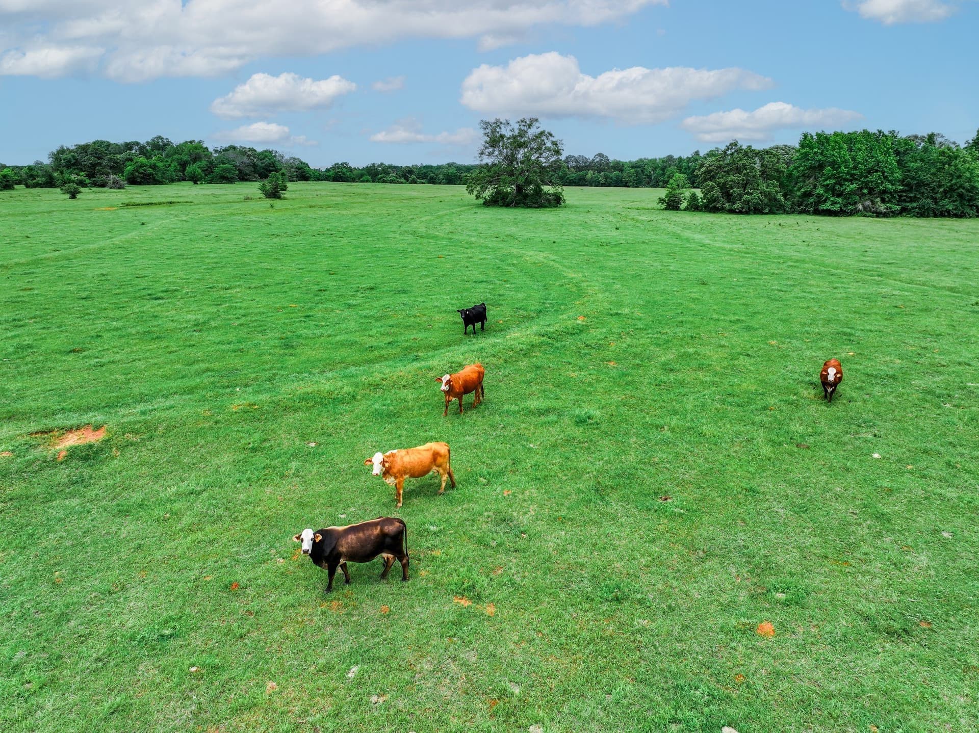 163 acres in Anderson County