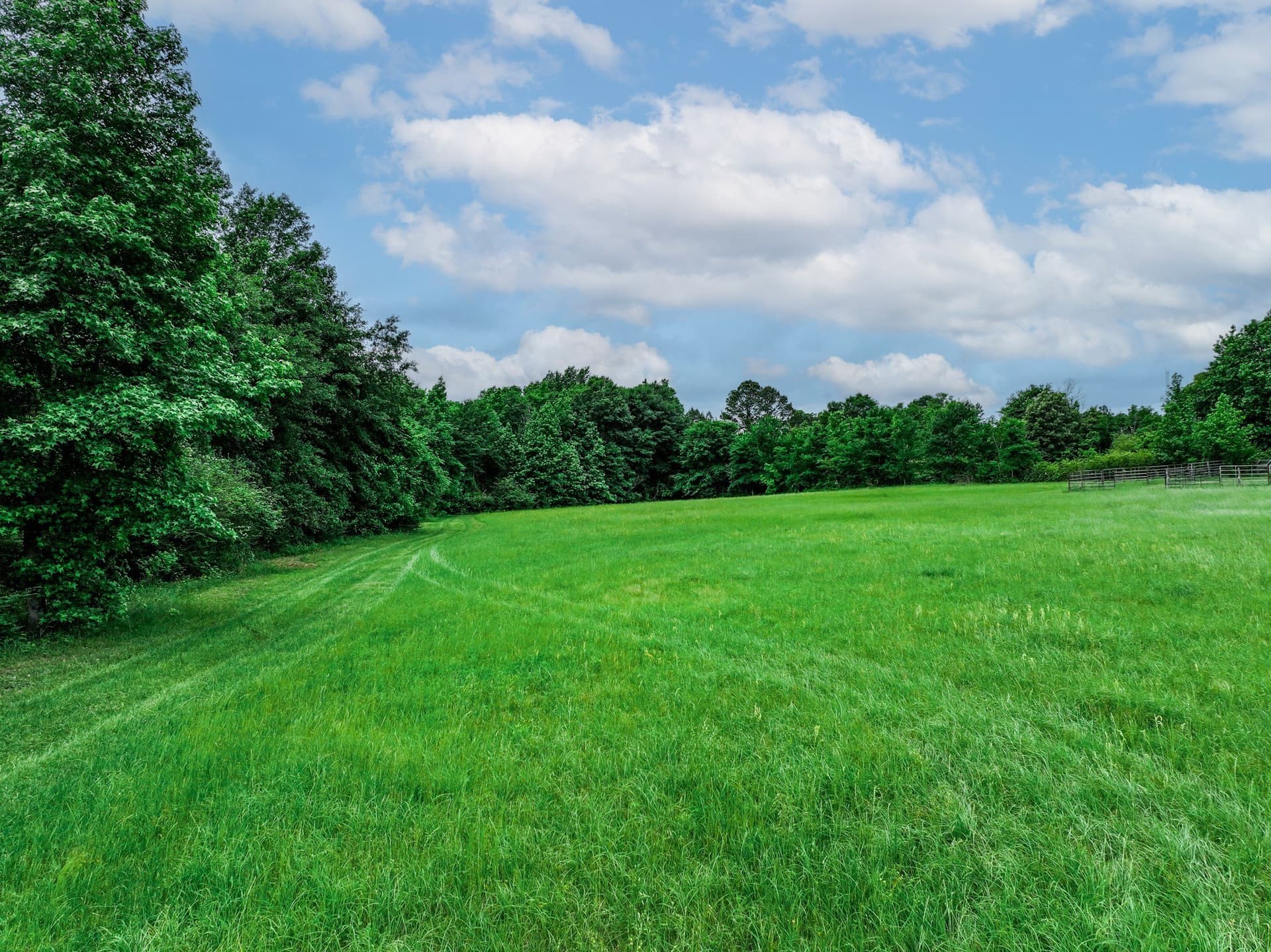 163 acres in Anderson County - photo 18