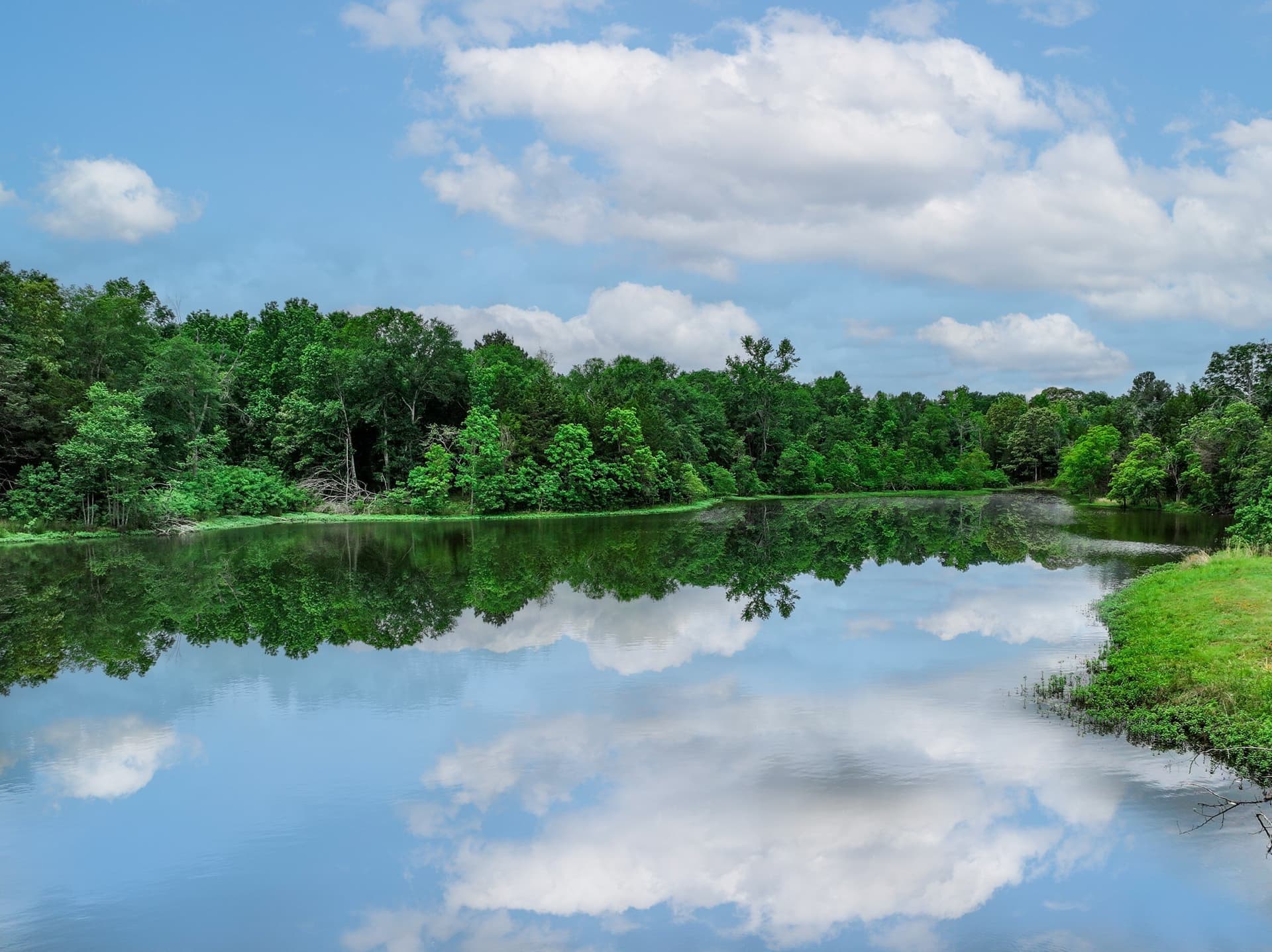163 acres in Anderson County - photo 15