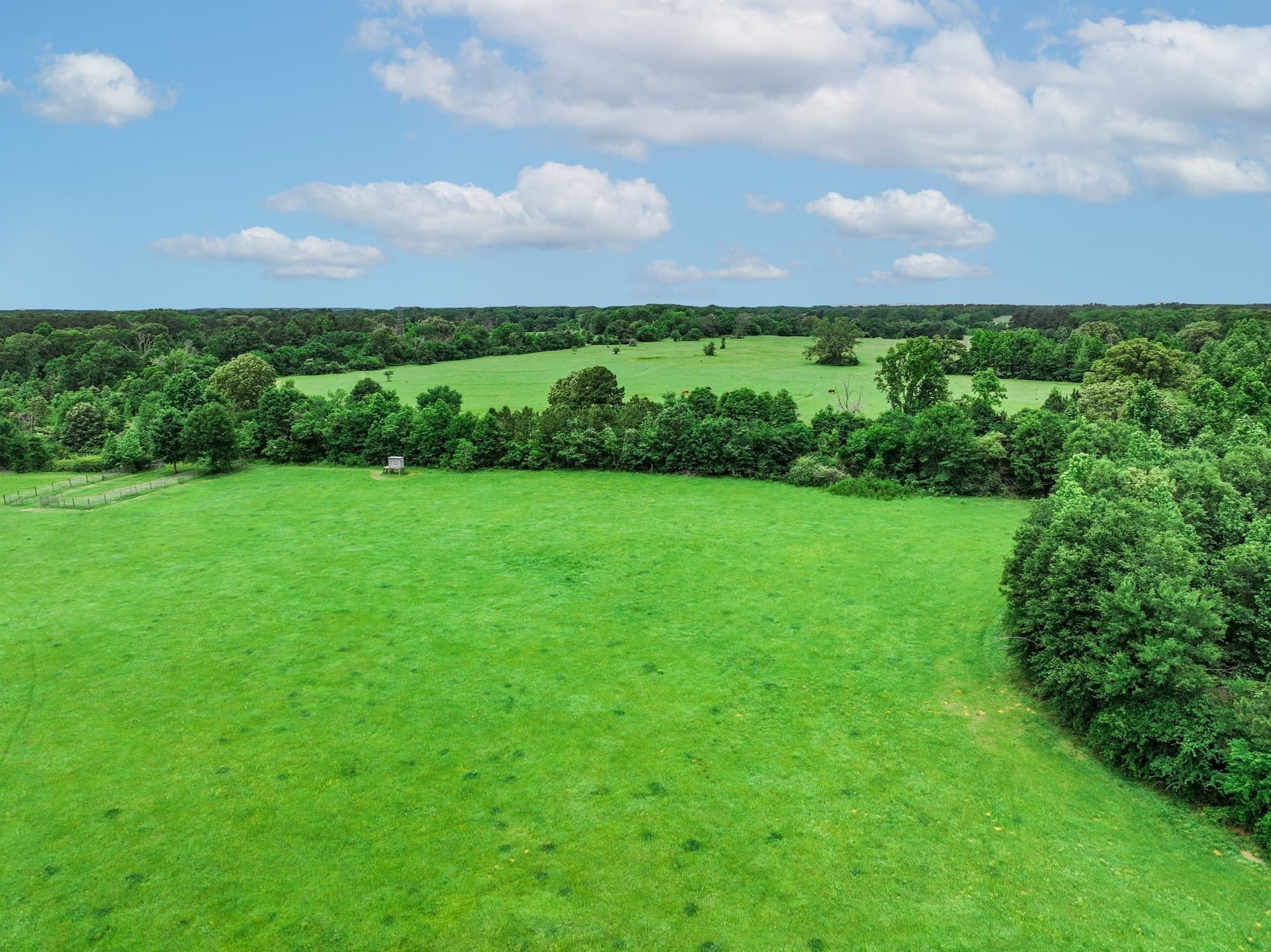 163 acres in Anderson County - photo 22