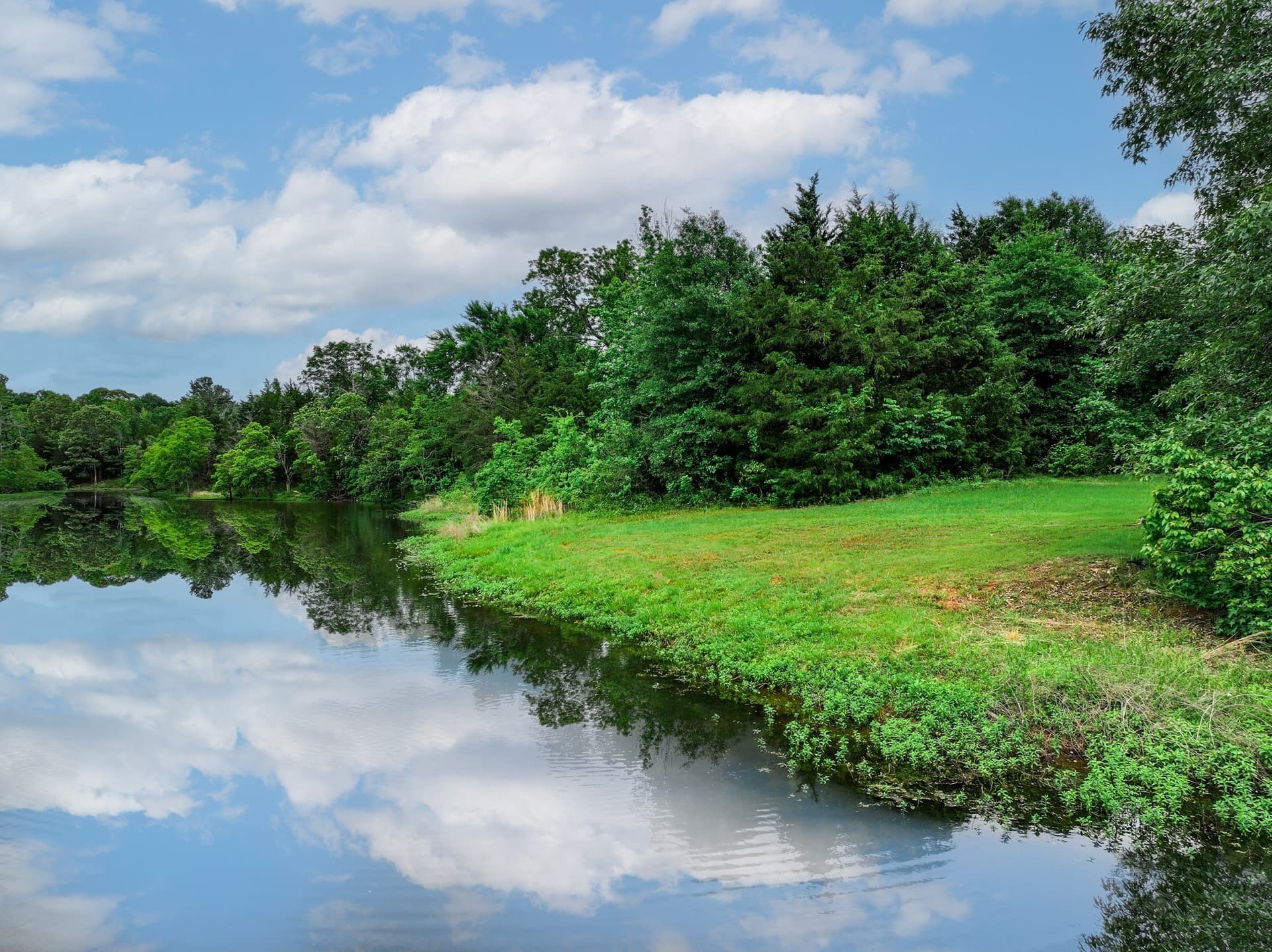 163 acres in Anderson County - photo 10