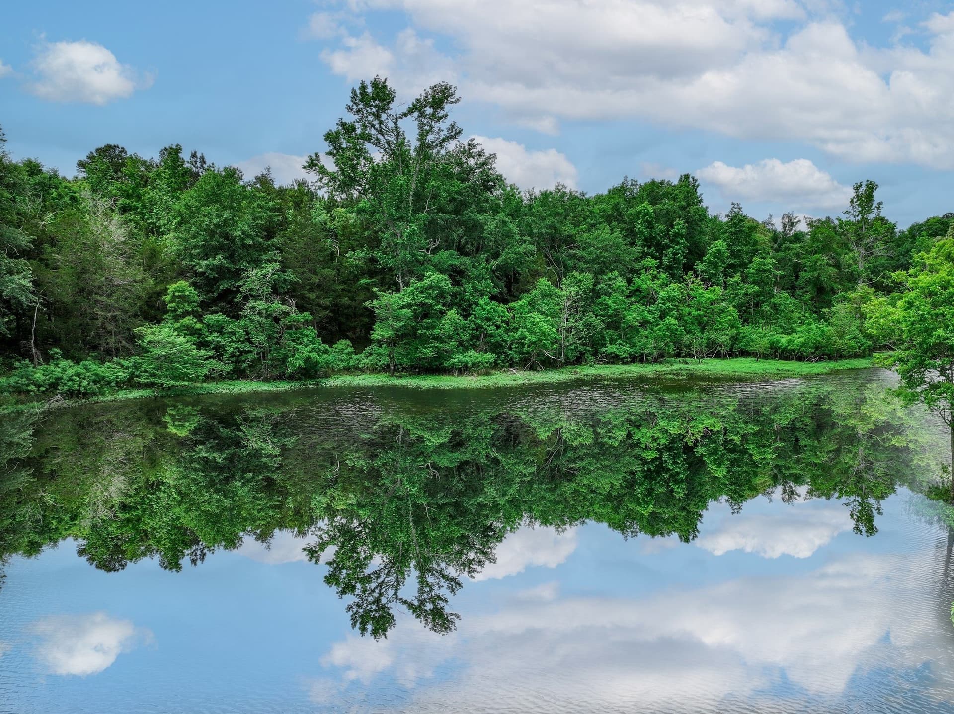 163 acres in Anderson County - photo 2