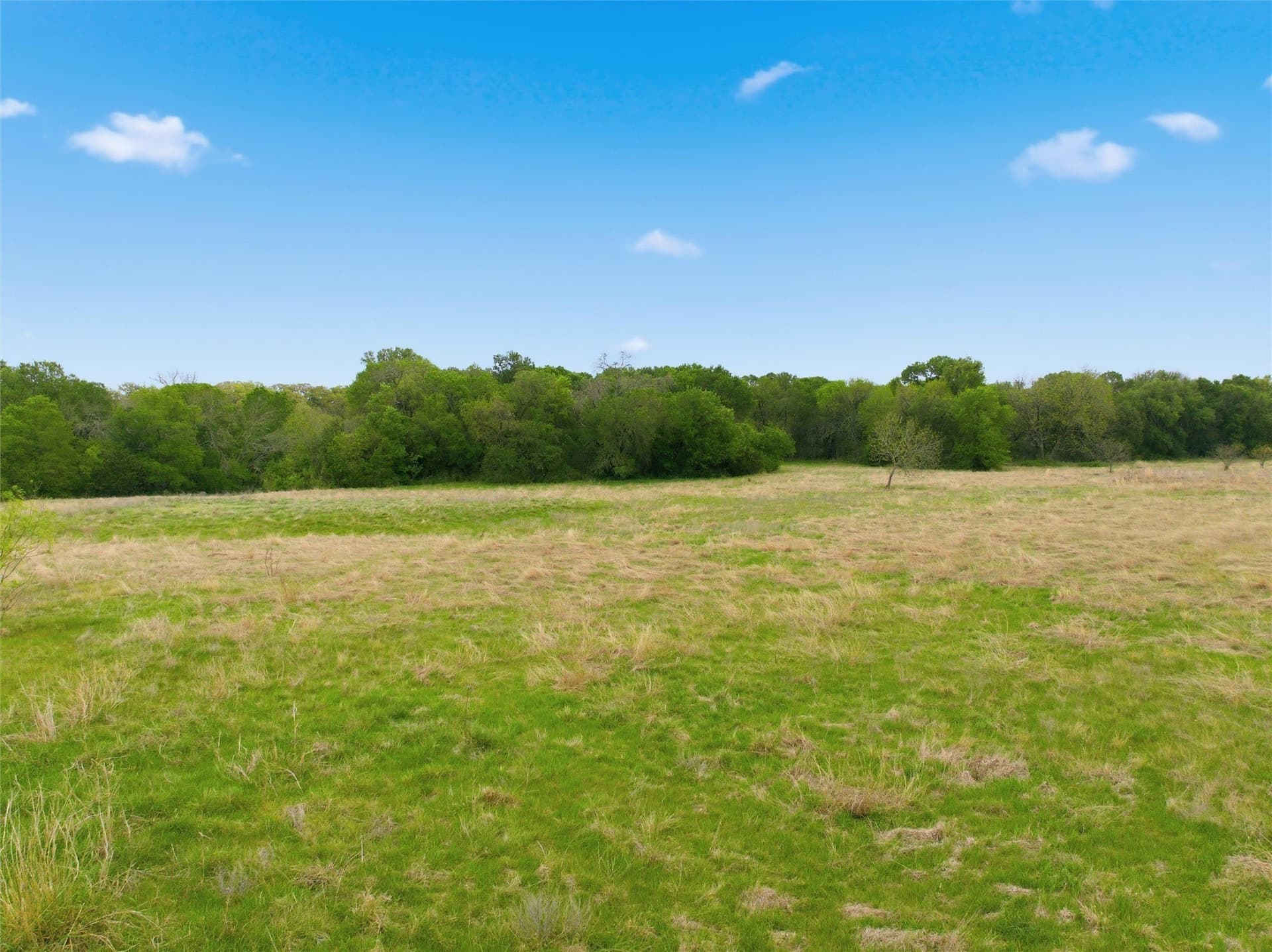 10.5 acres in McLennan County - photo 4