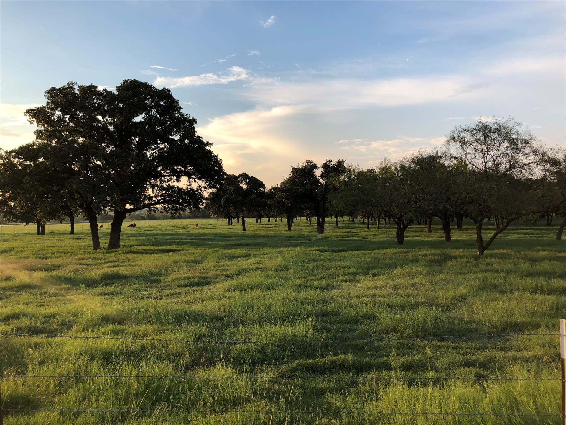 30 acres in Johnson County - photo 7