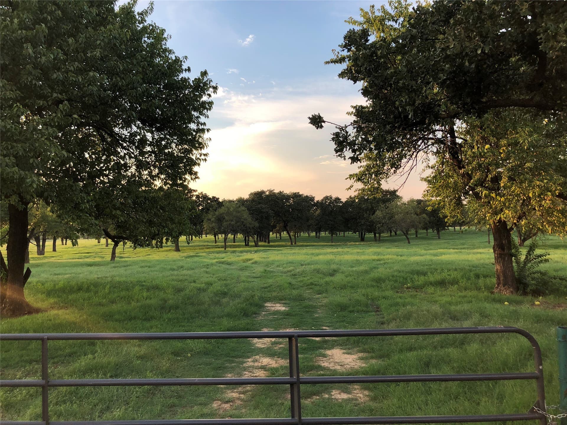 30 acres in Johnson County - photo 8