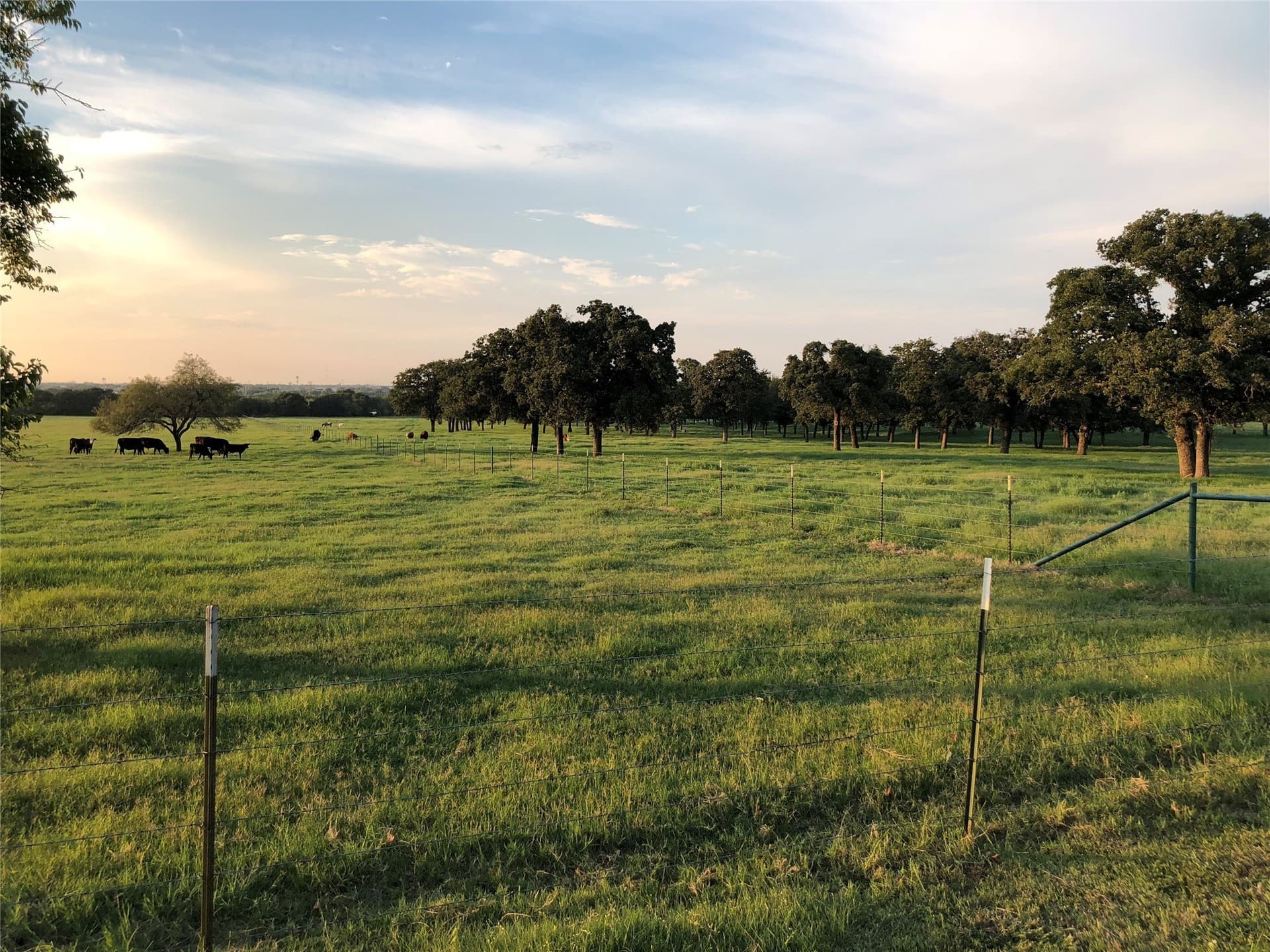 30 acres in Johnson County - photo 6