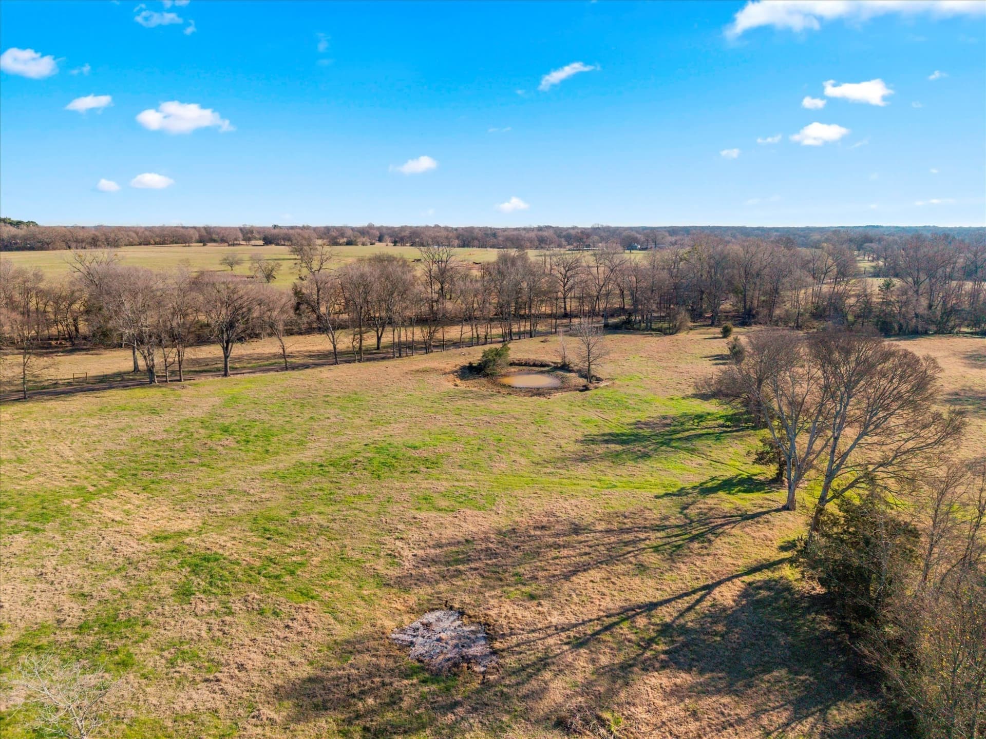 10 acres in Titus County - photo 8