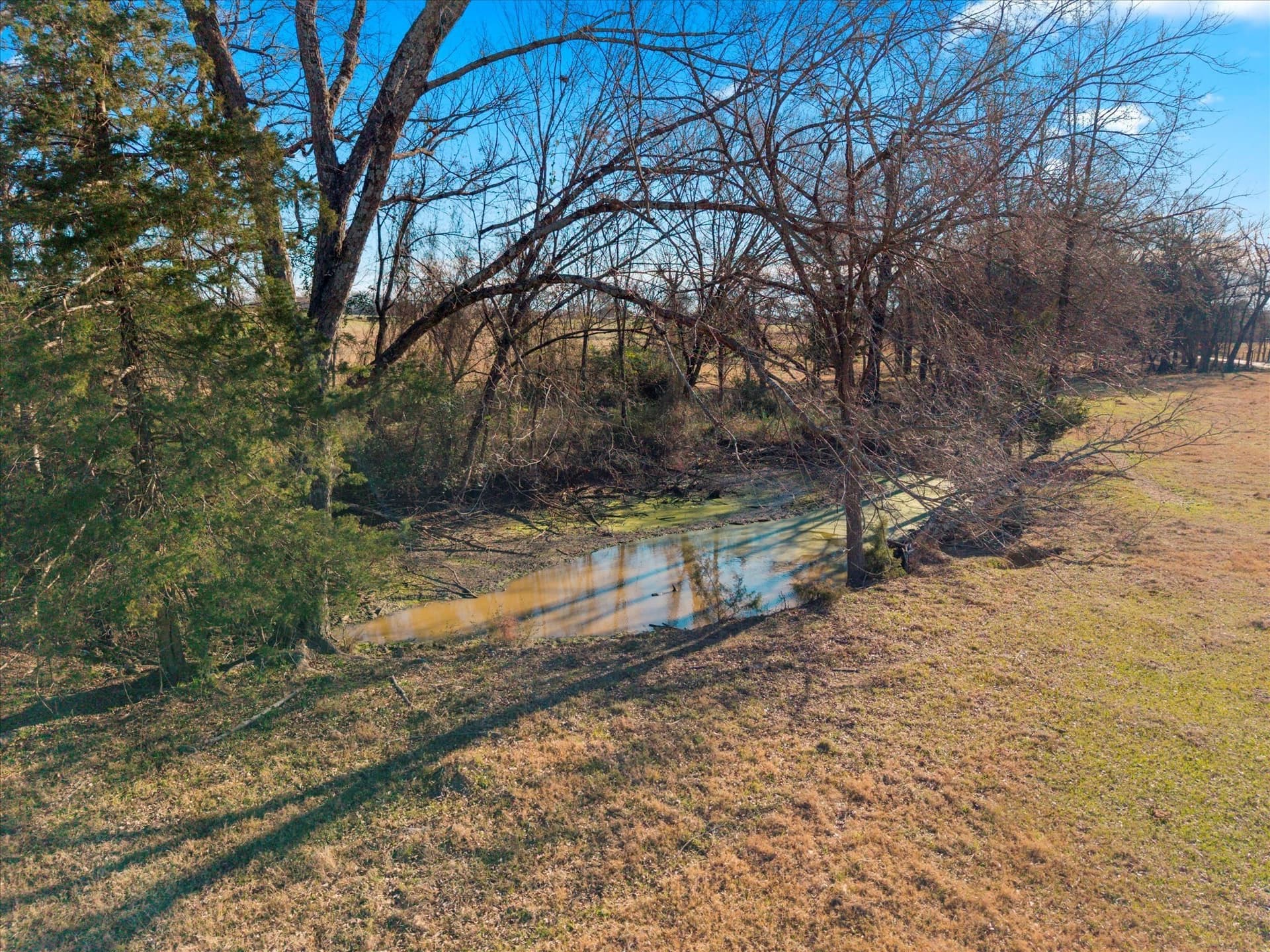 10 acres in Titus County - photo 13