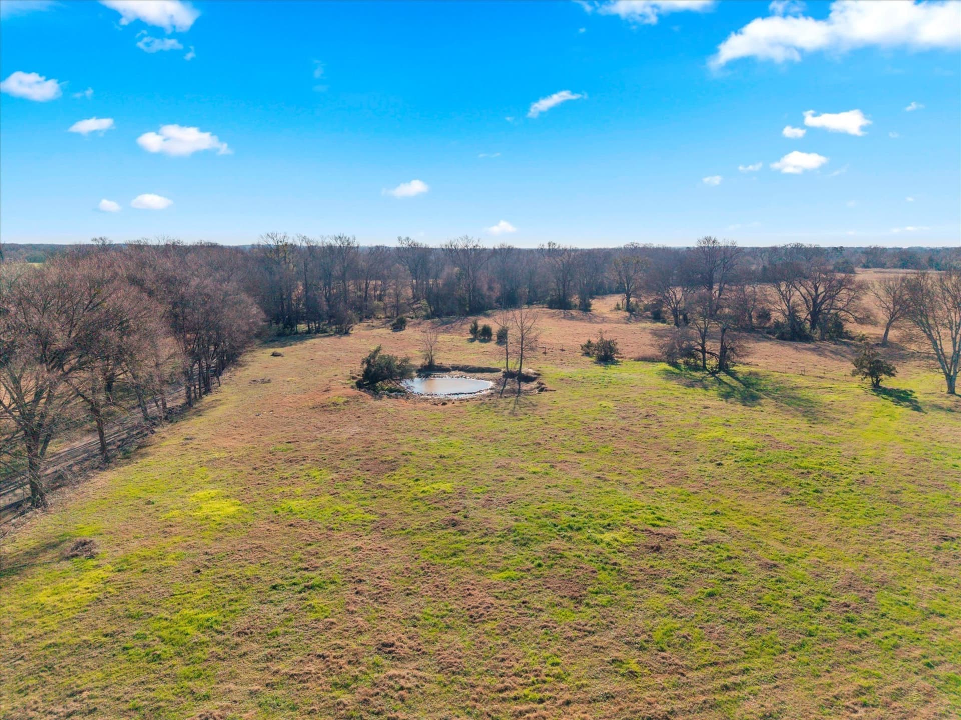 10 acres in Titus County - photo 10