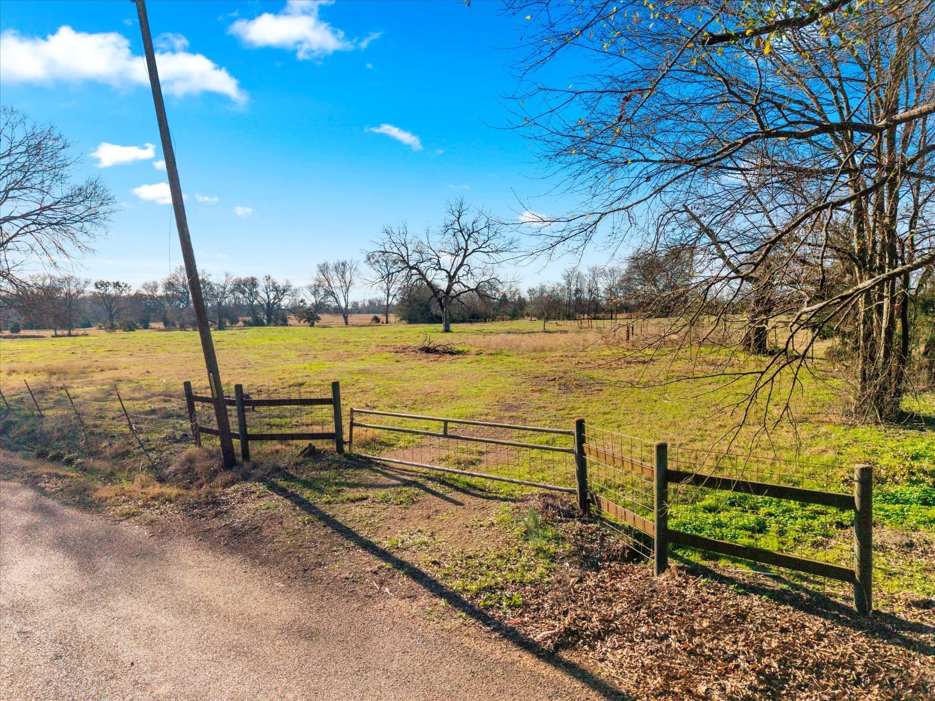 10 acres in Titus County gallery image 3