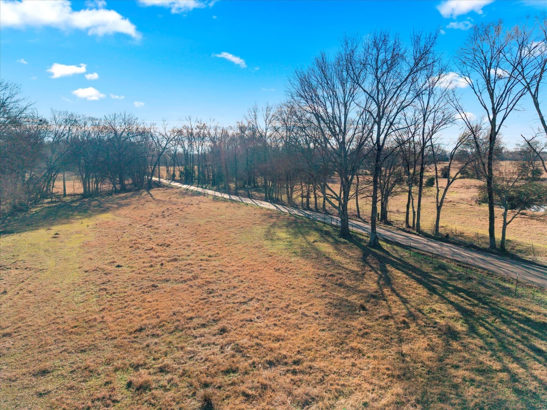 10 acres in Titus County - photo 12