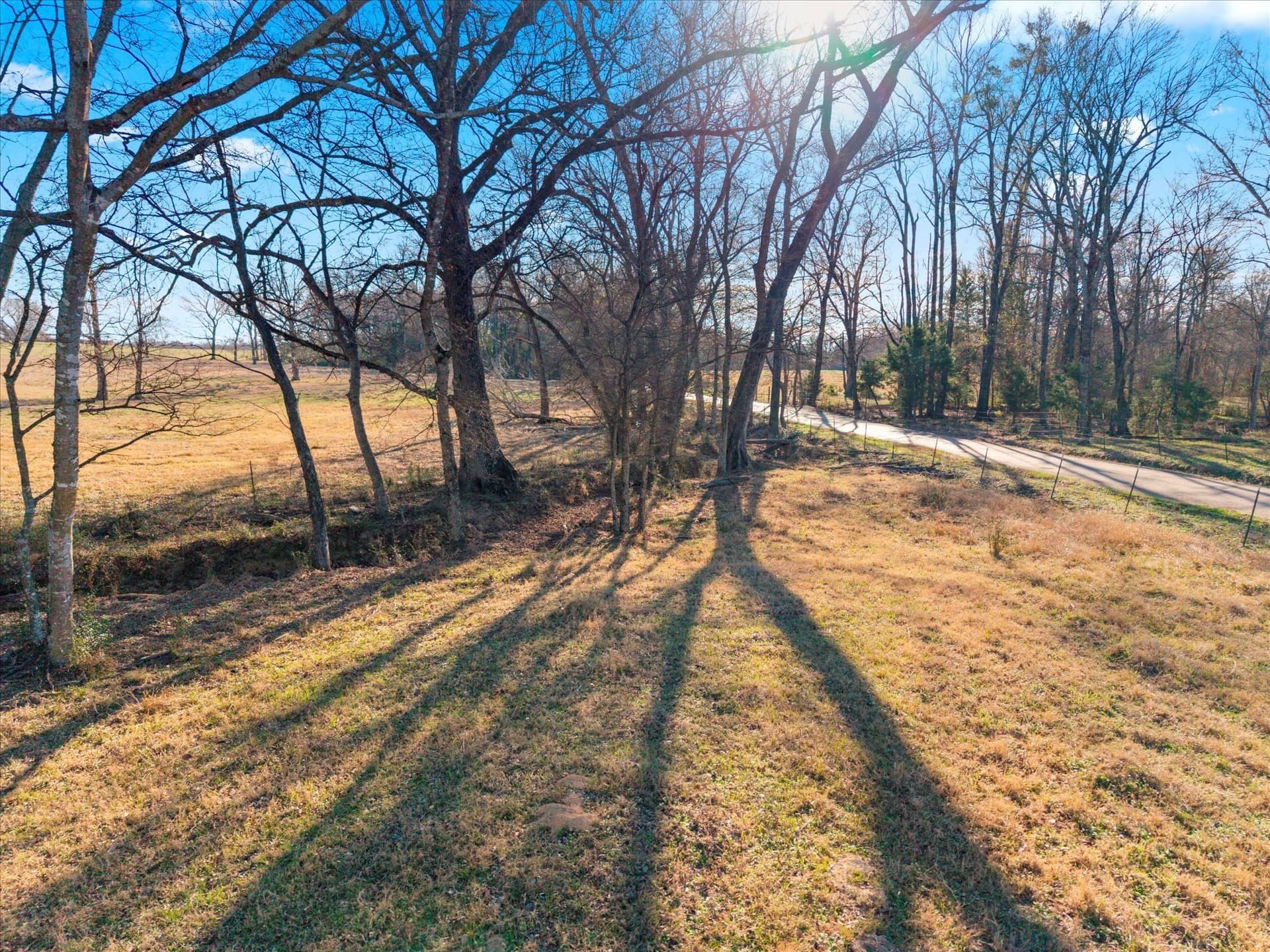 10 acres in Titus County - photo 7