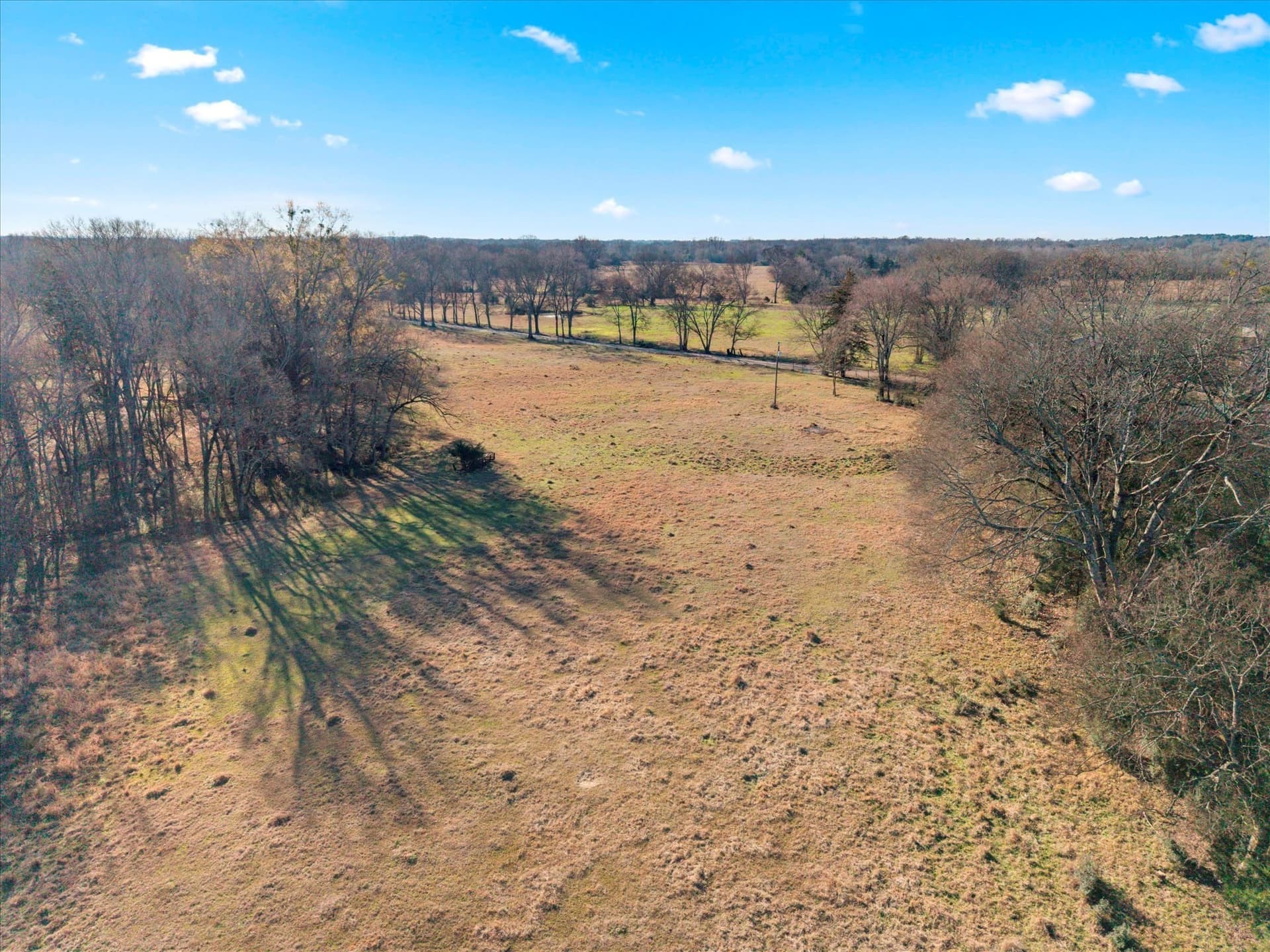 10 acres in Titus County - photo 15