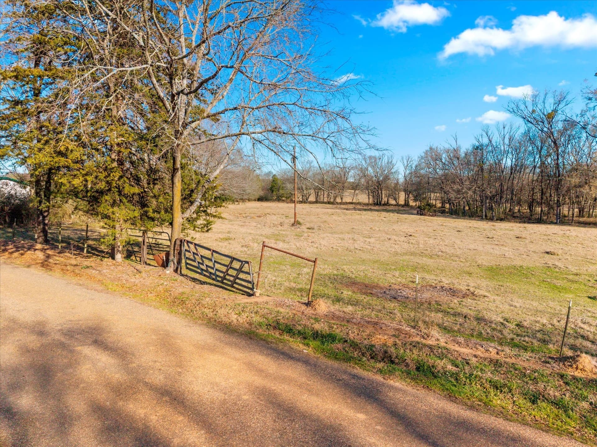 10 acres in Titus County - photo 11