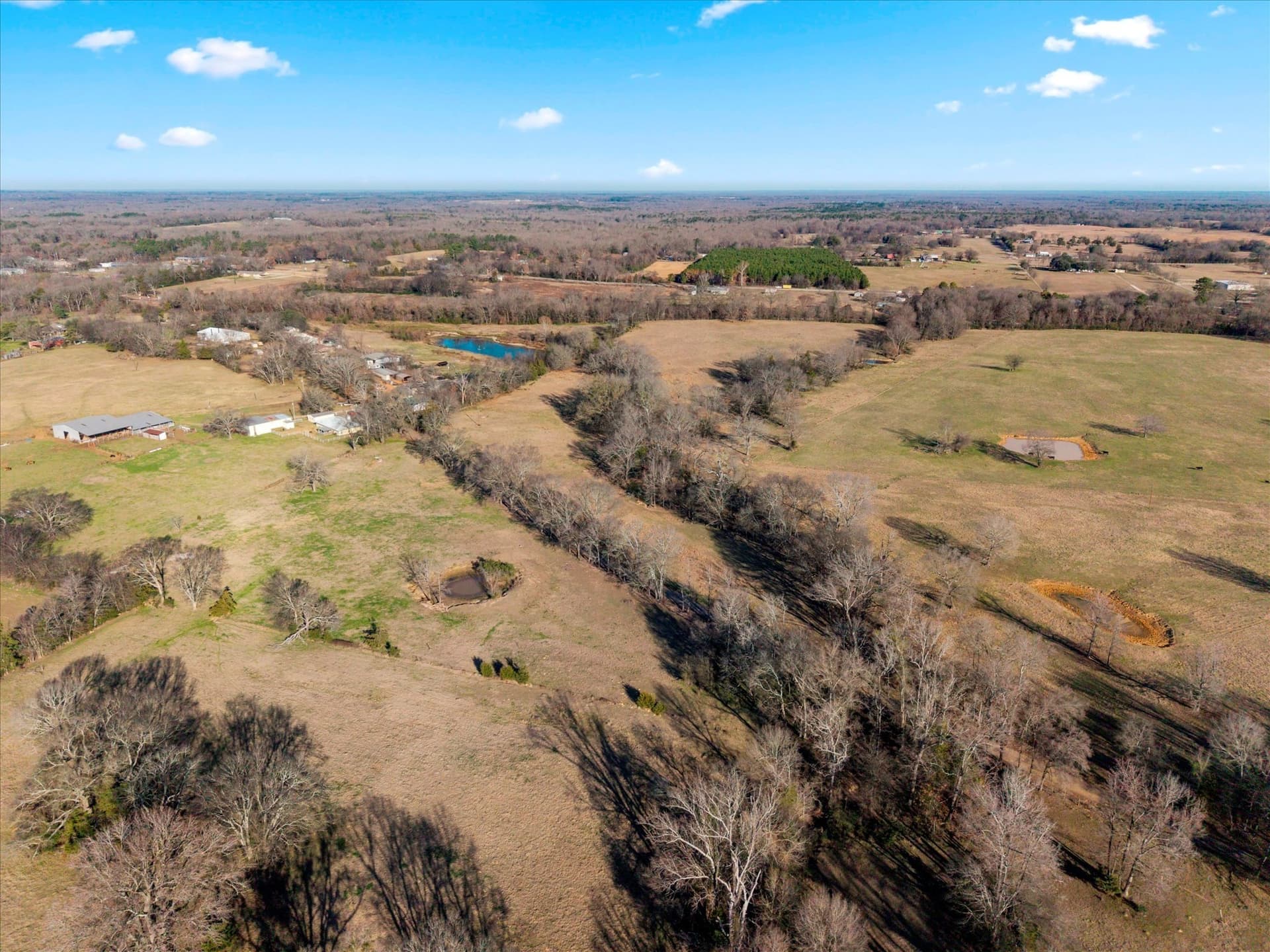 10 acres in Titus County - photo 17