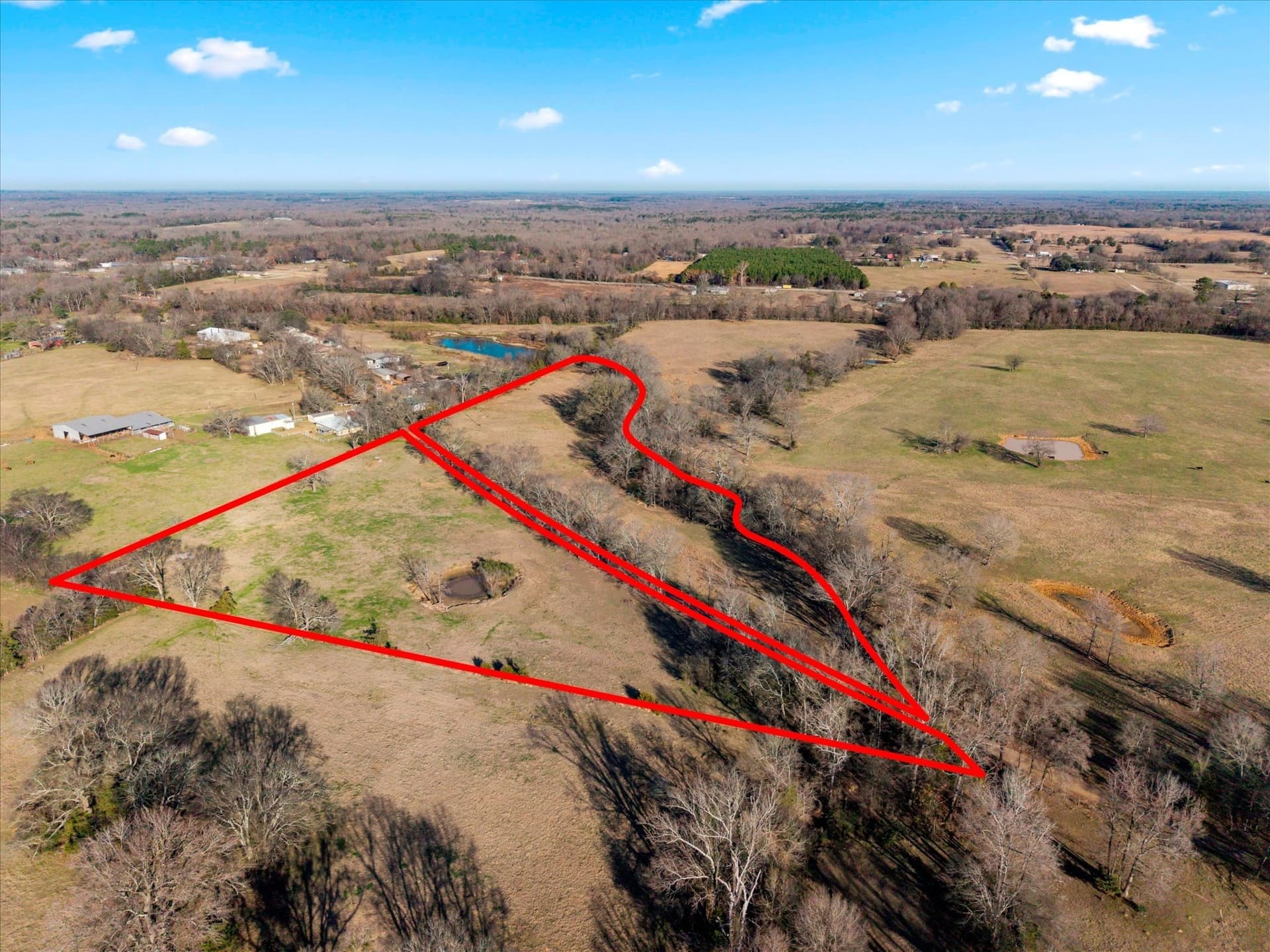 10 acres in Titus County gallery image 2