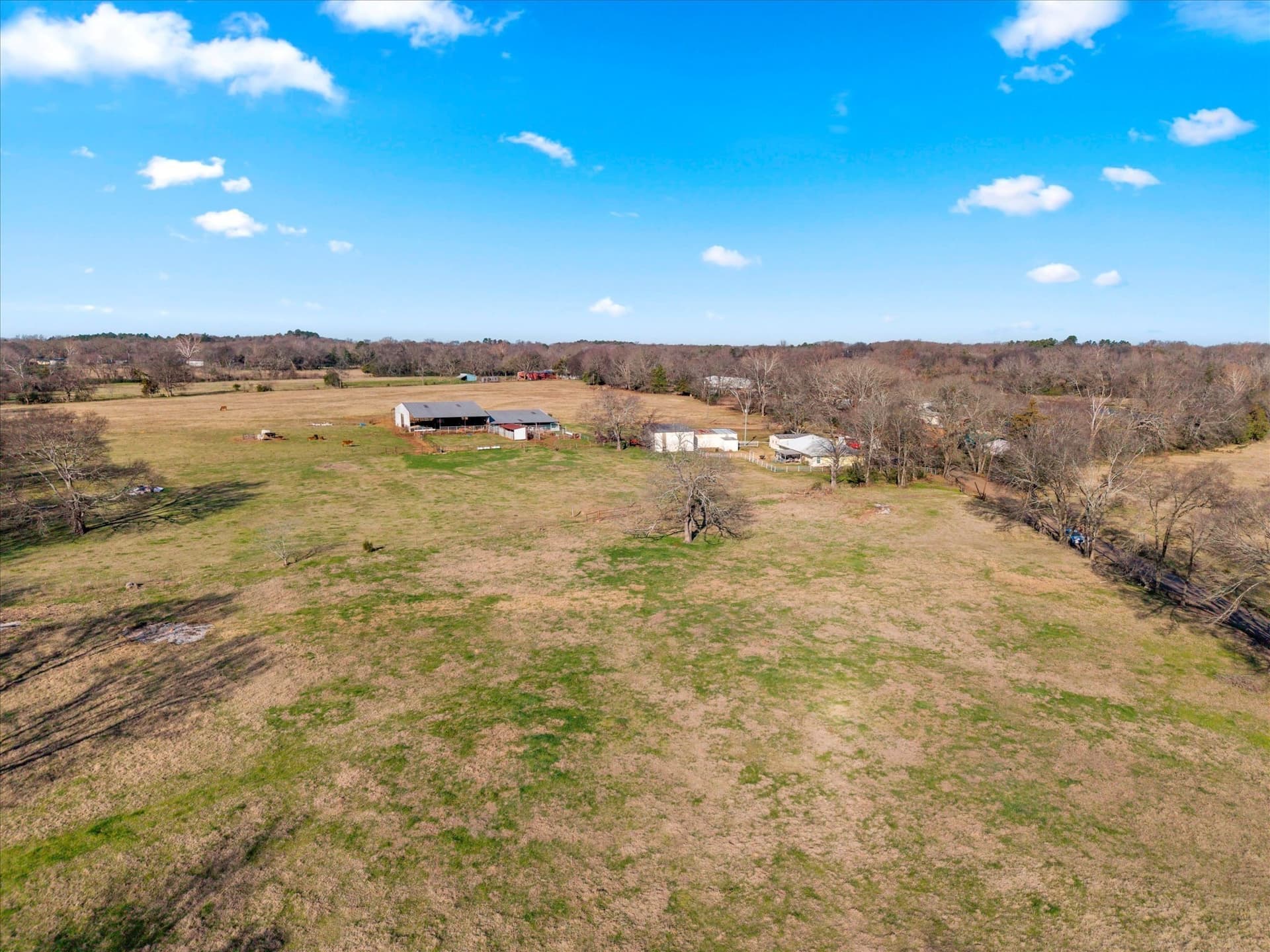 10 acres in Titus County - photo 9