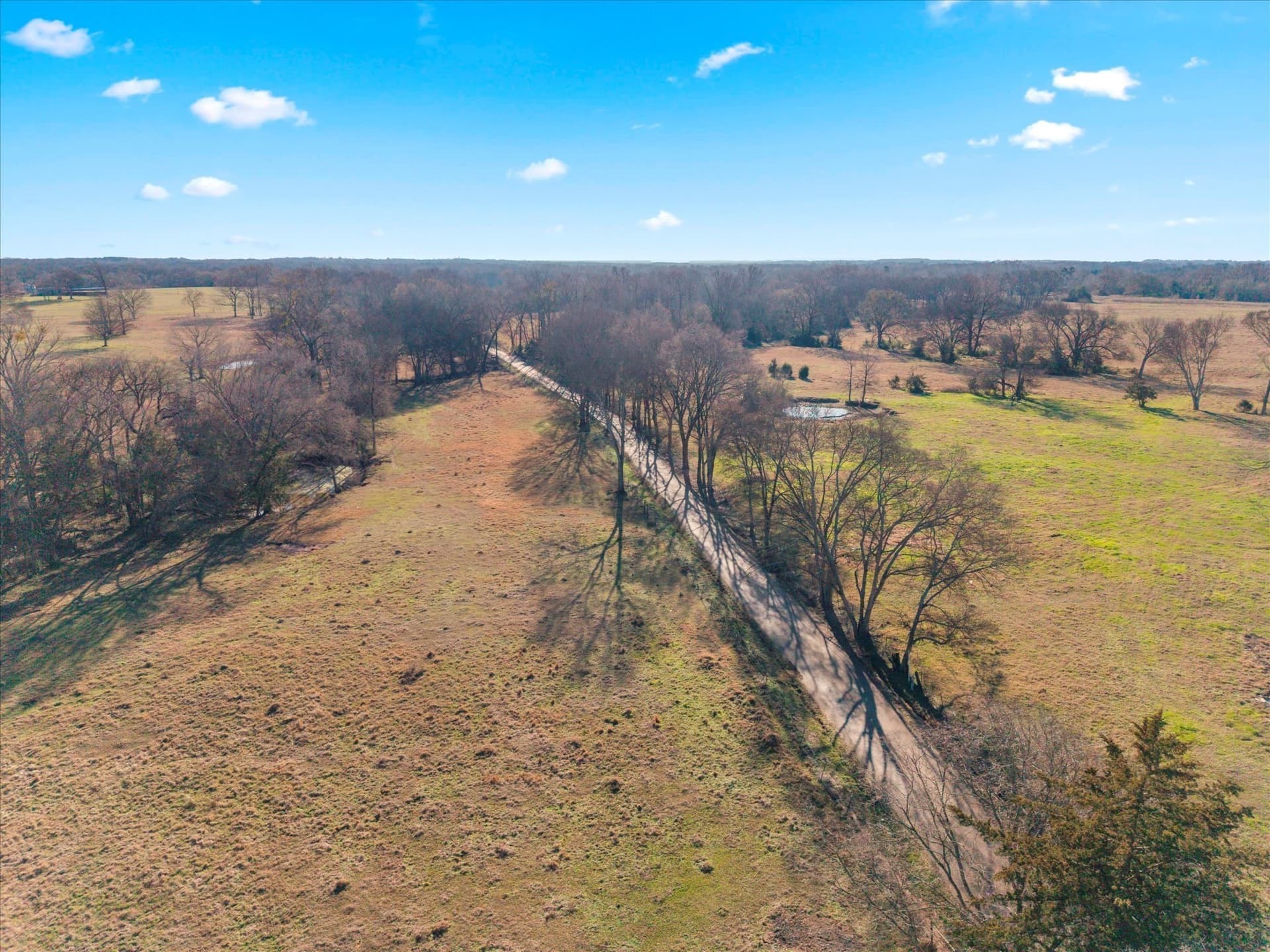 10 acres in Titus County - photo 14