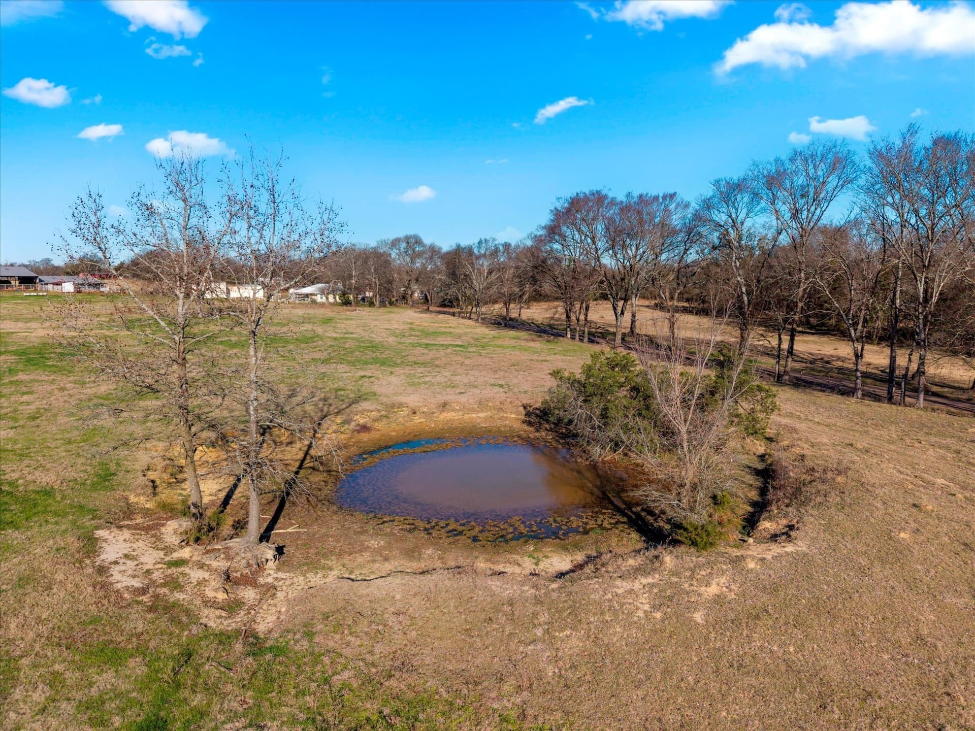 10 acres in Titus County - photo 6