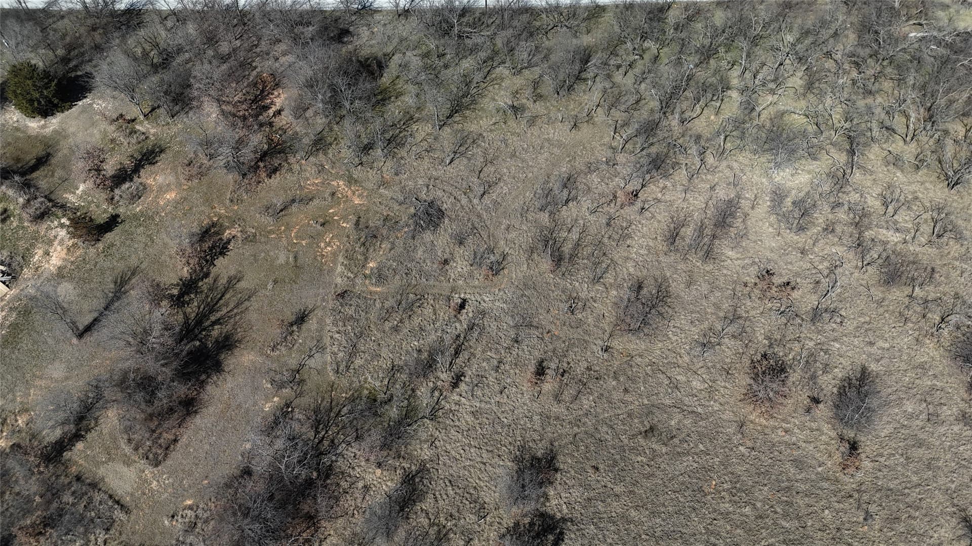 2.13 acres in Wise County gallery image 3