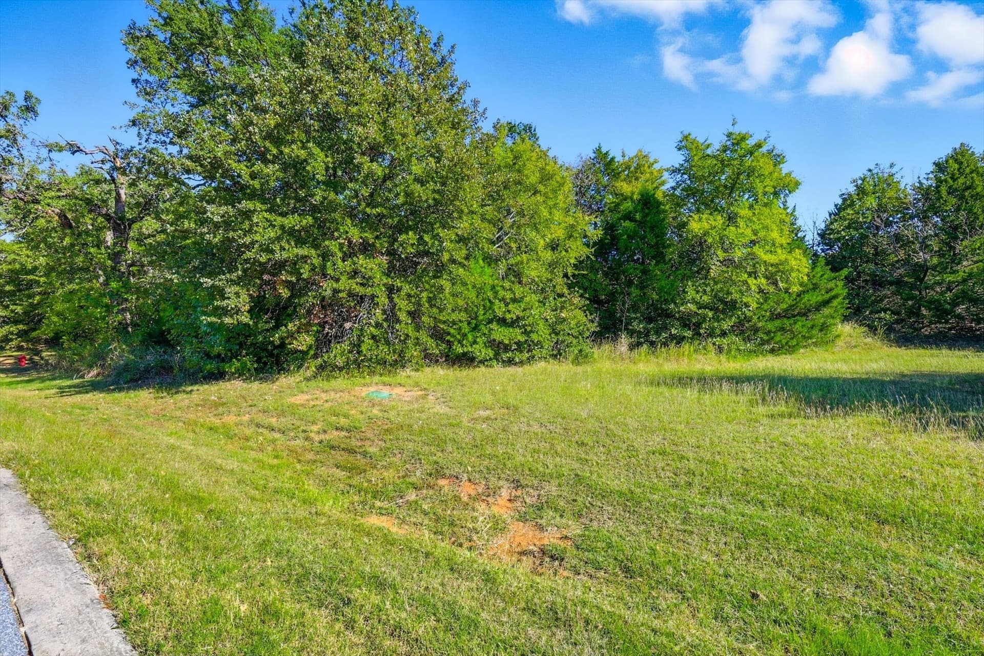0.62 acres in Grayson County - photo 6