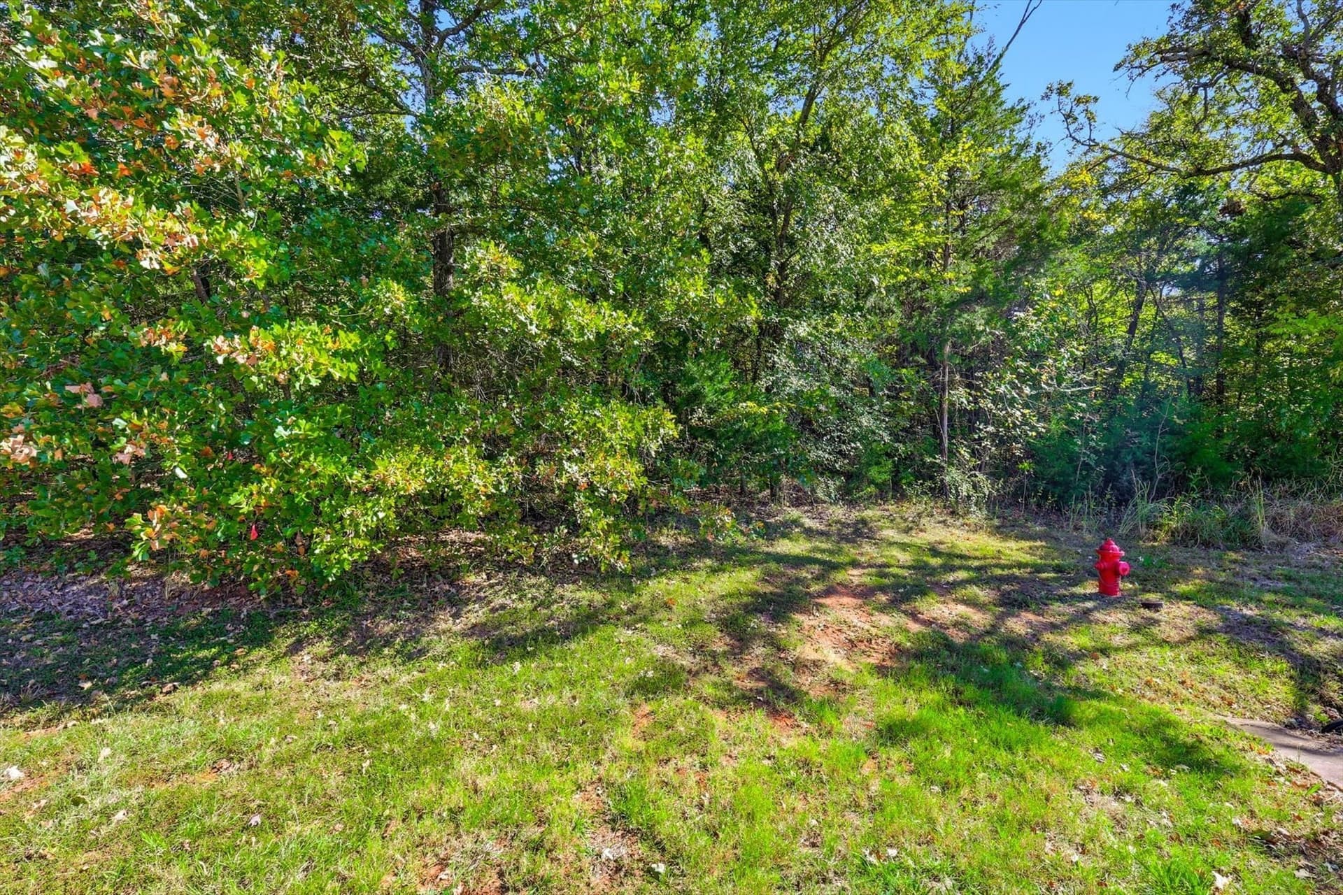 0.62 acres in Grayson County - photo 8