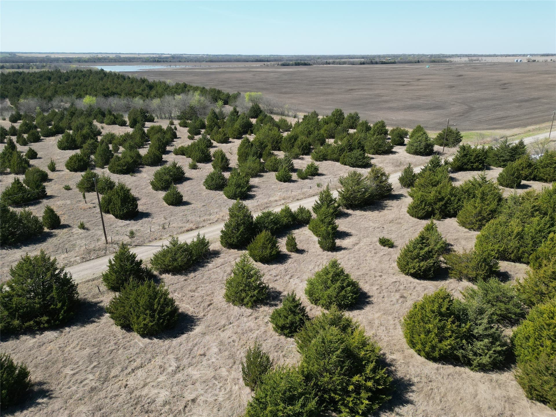 139.5 acres in Fannin County - photo 21