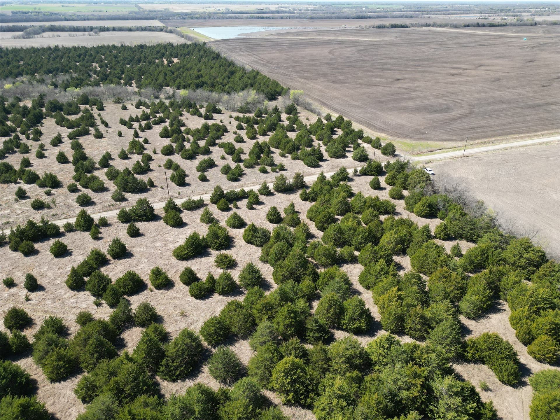 139.5 acres in Fannin County - photo 19