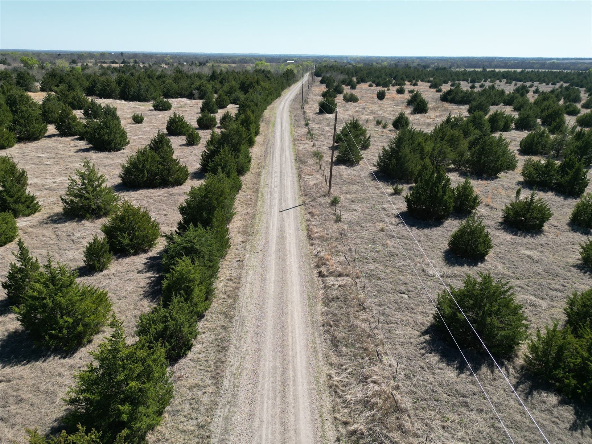 139.5 acres in Fannin County - photo 23