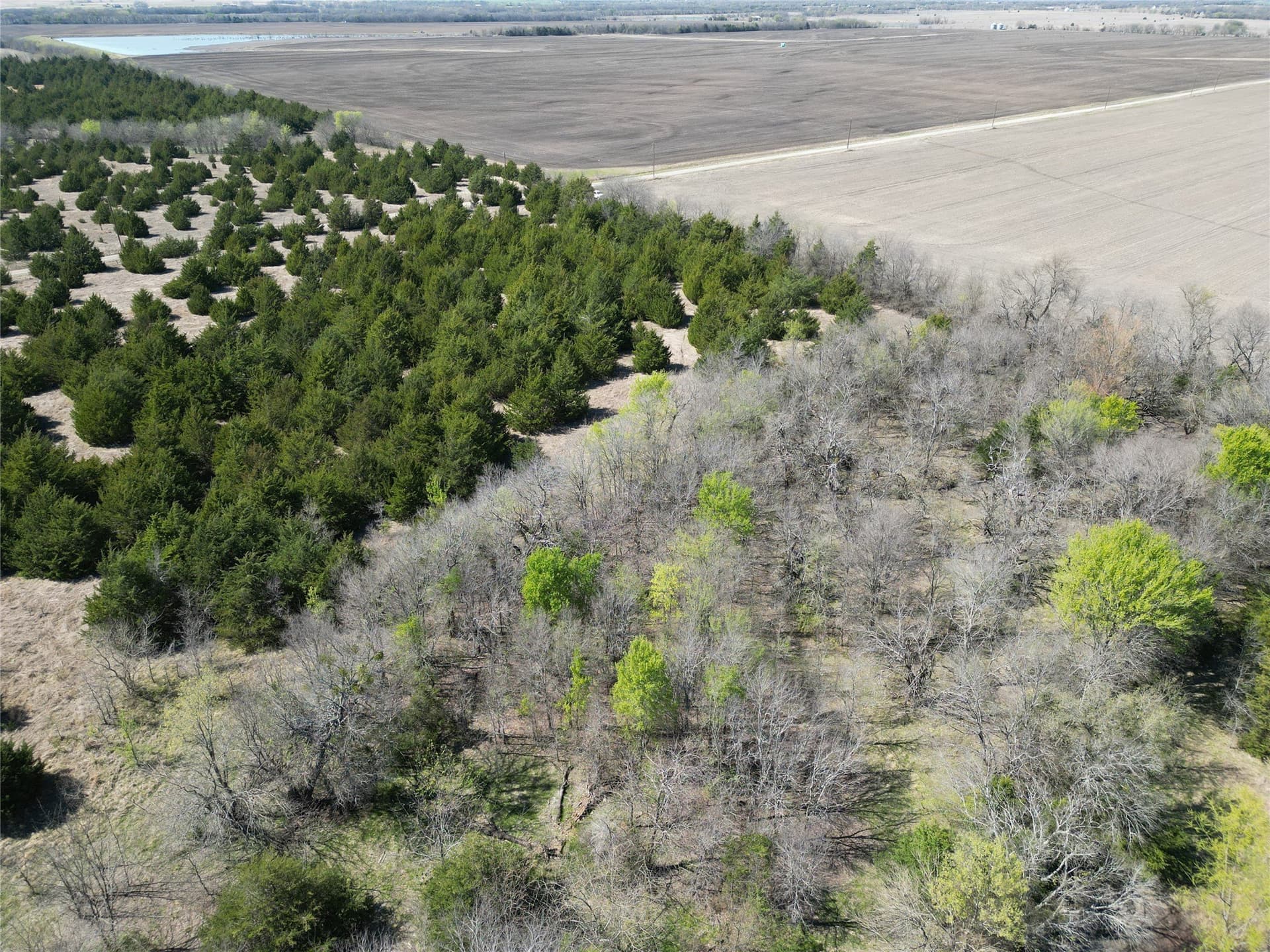 139.5 acres in Fannin County - photo 18